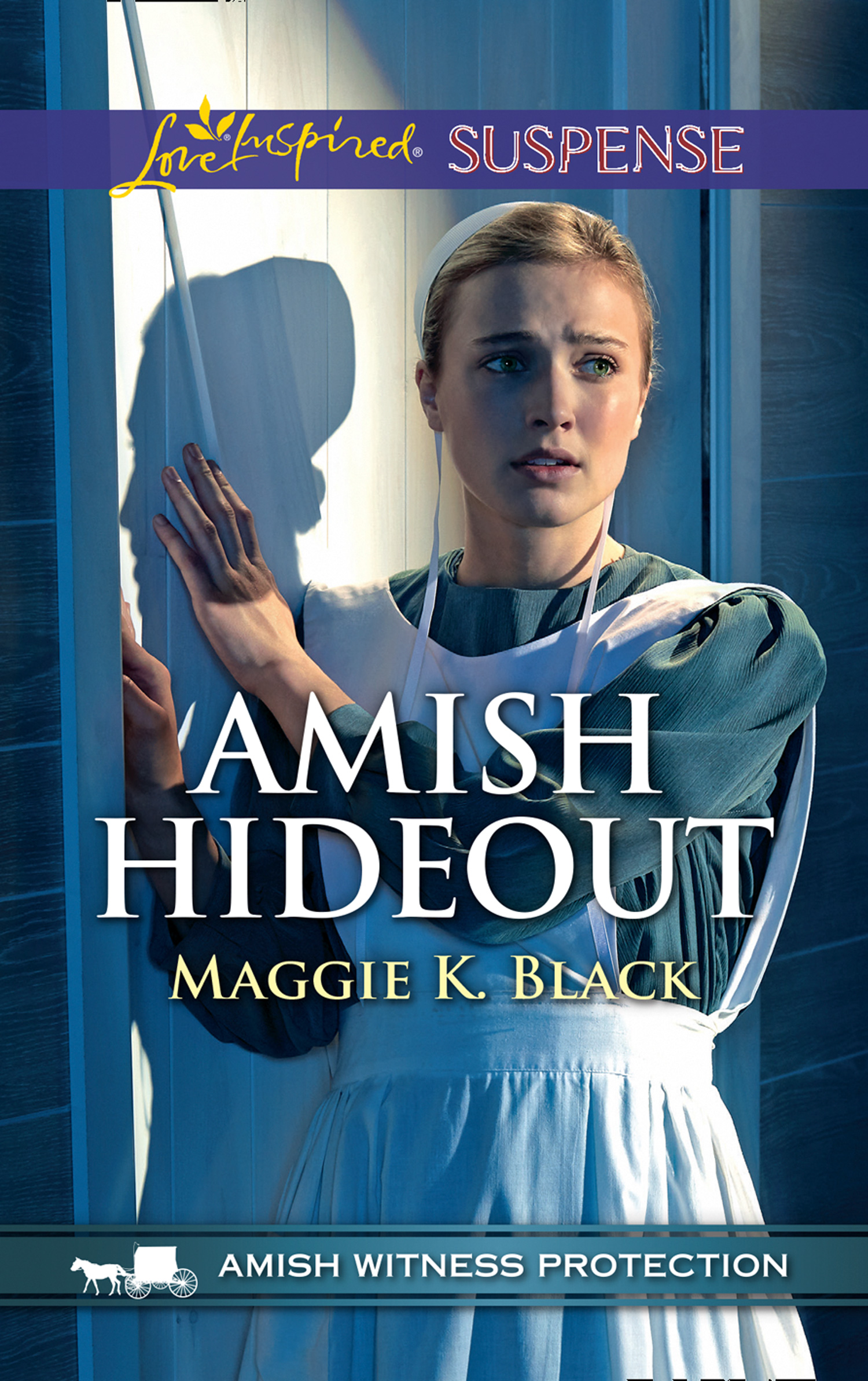 Обложка книги «Amish Hideout»
