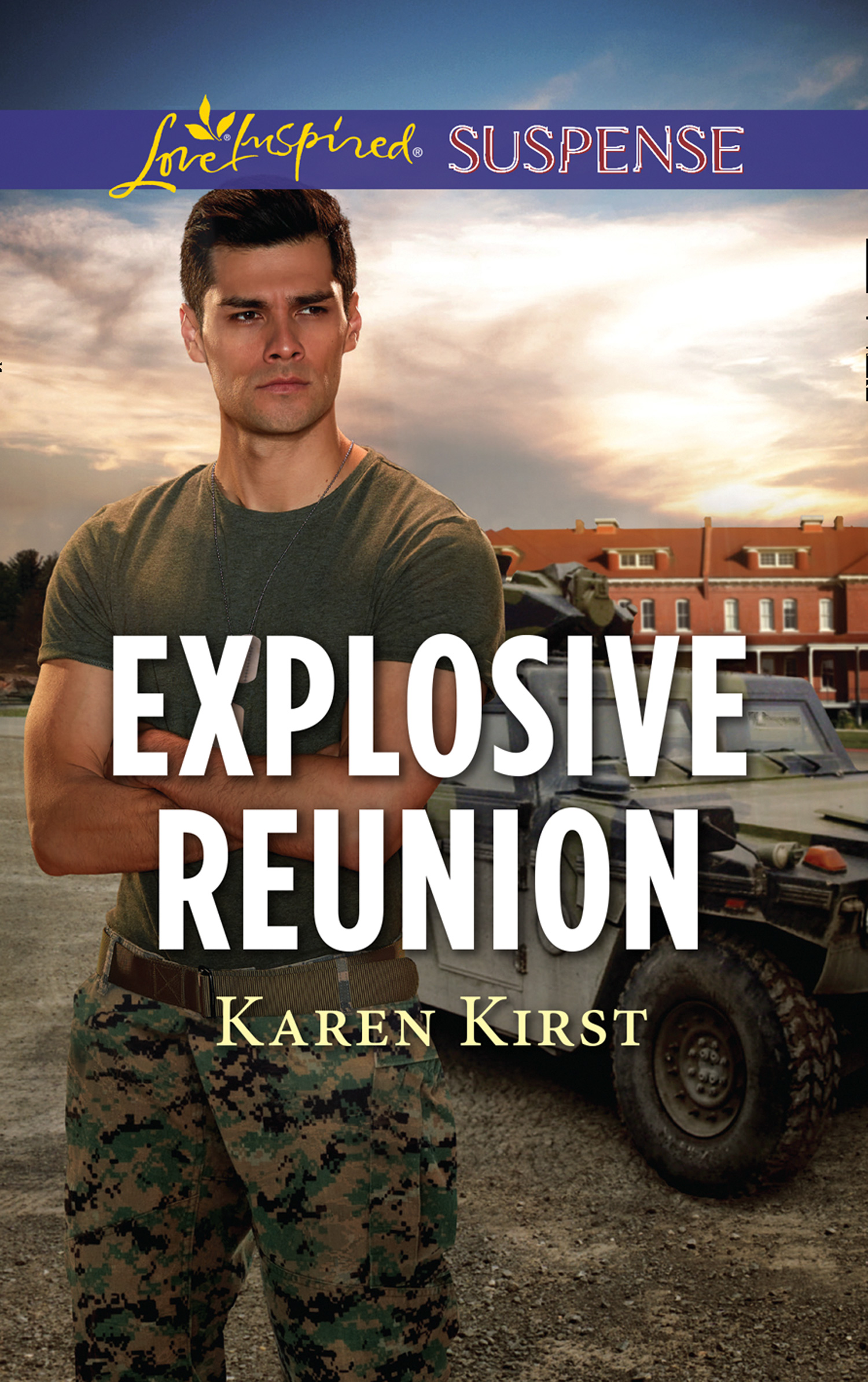 Обложка книги «Explosive Reunion»