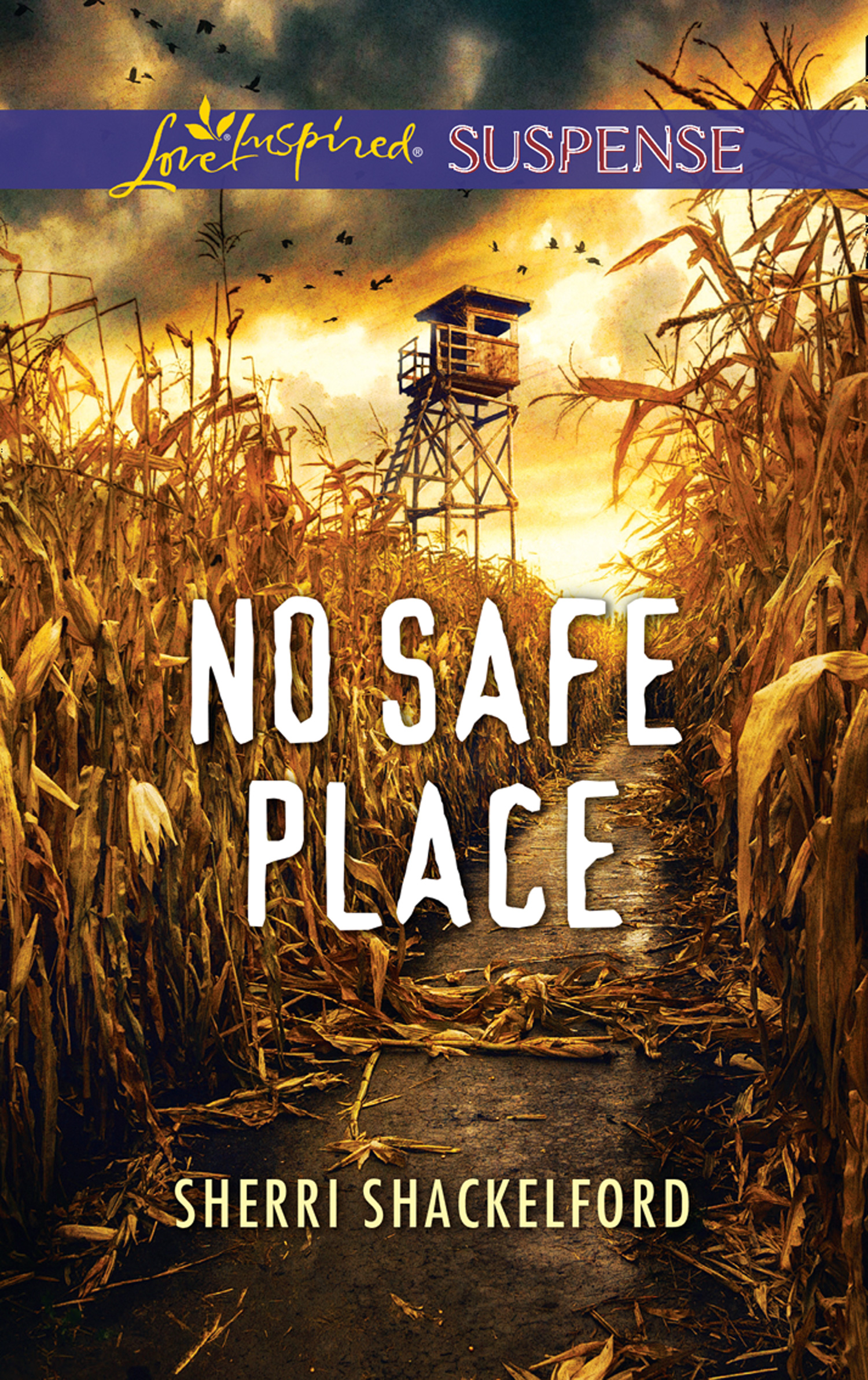 Обложка книги «No Safe Place»