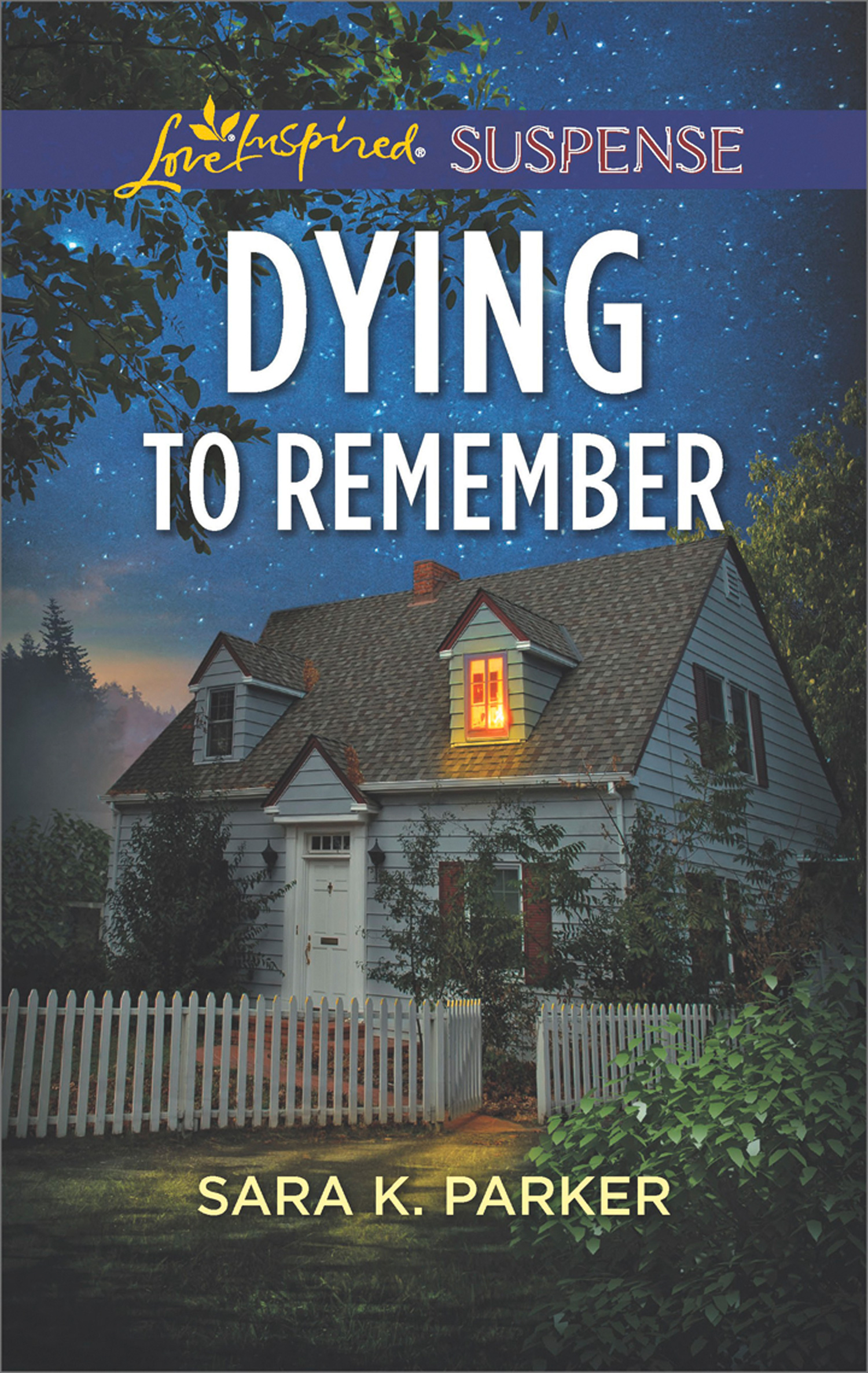 Обложка книги «Dying To Remember»