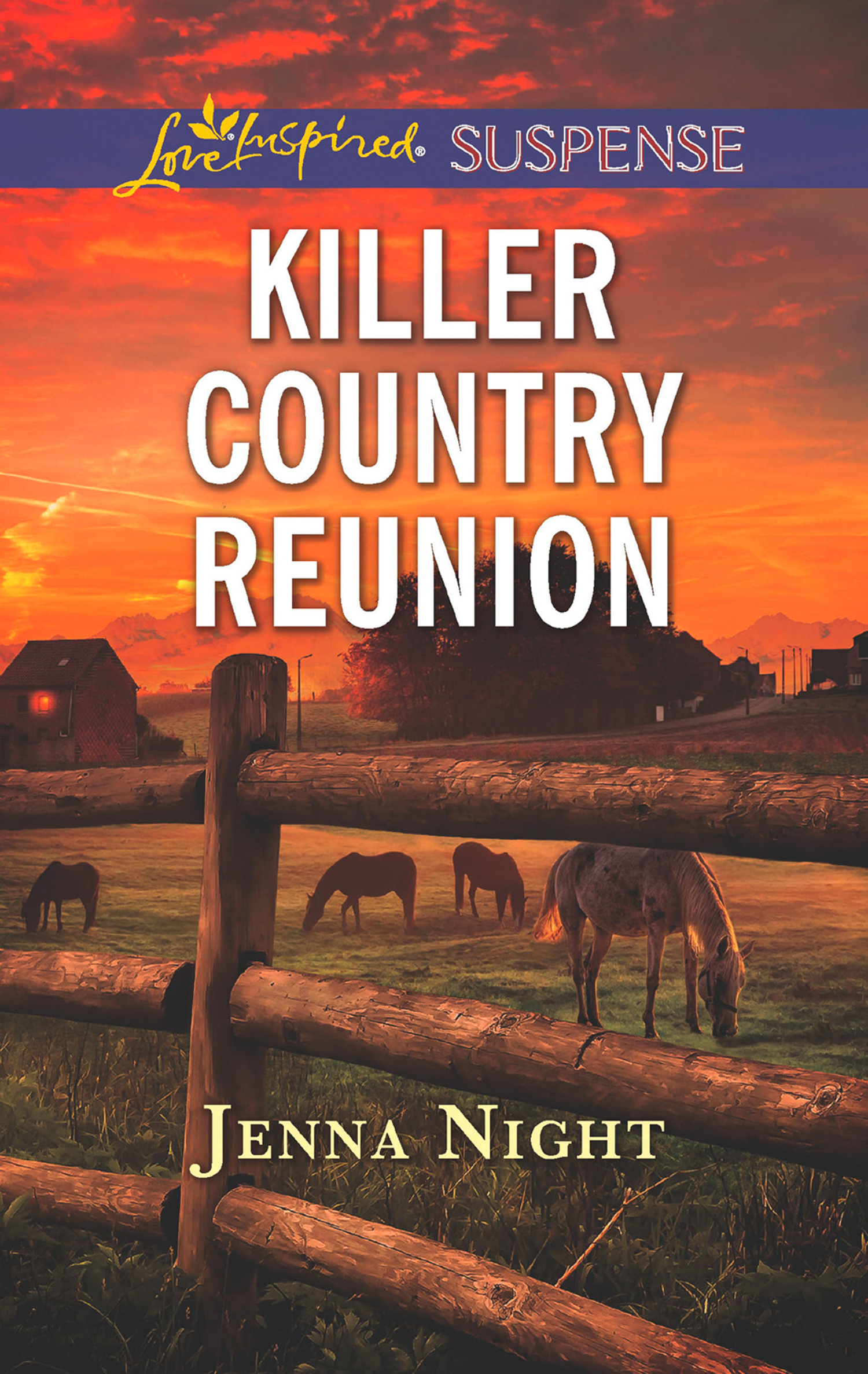 Обложка книги «Killer Country Reunion»