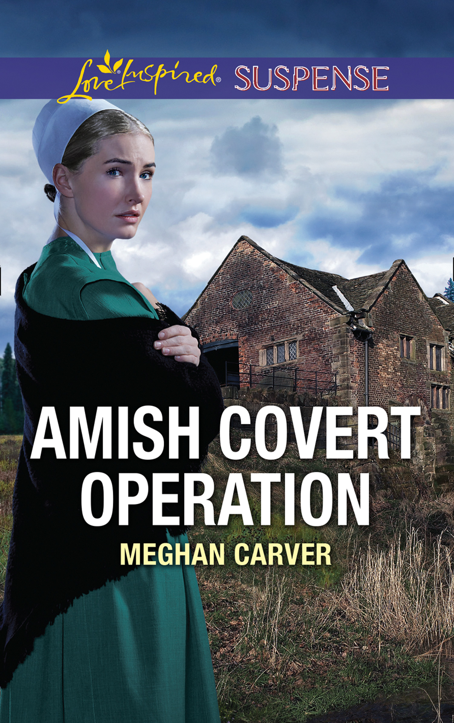 Обложка книги «Amish Covert Operation»