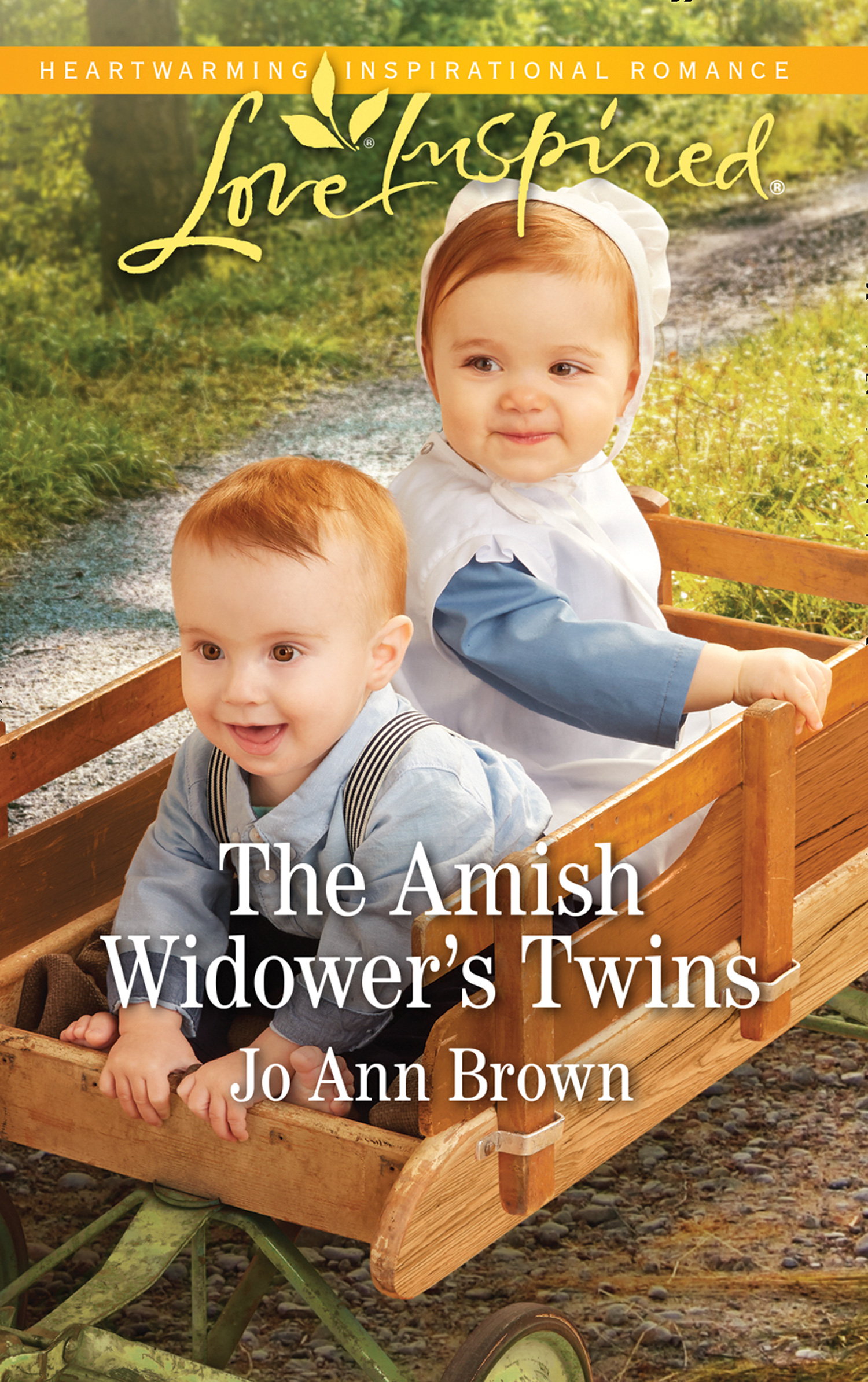 Обложка книги «The Amish Widower's Twins»