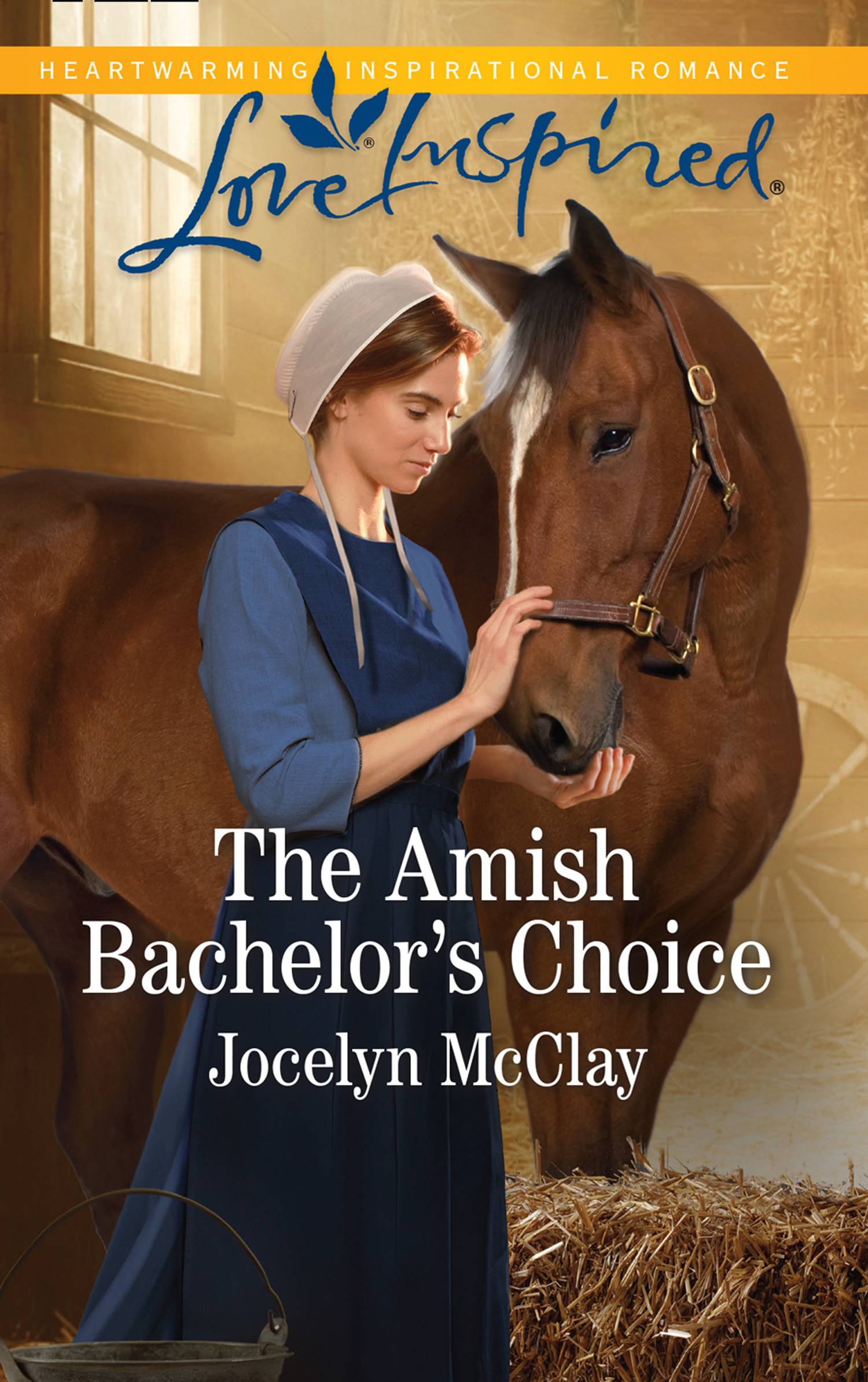Обложка книги «The Amish Bachelor's Choice»