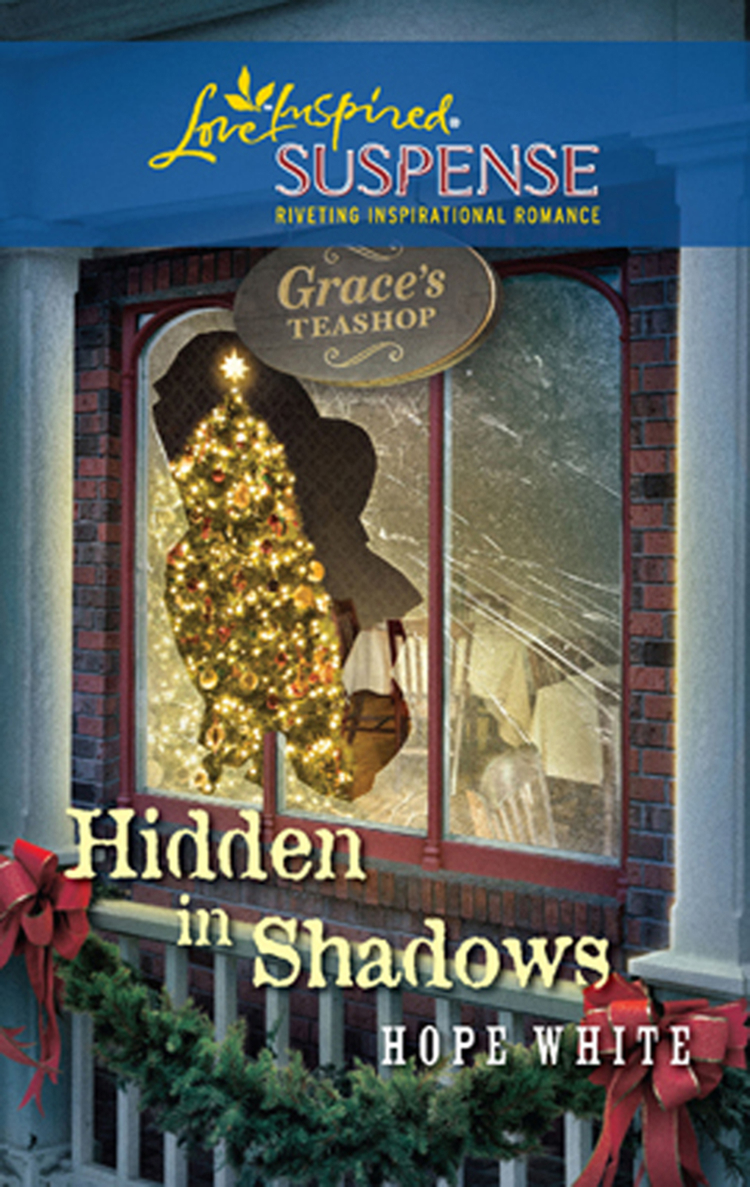 Обложка книги «Hidden in Shadows»