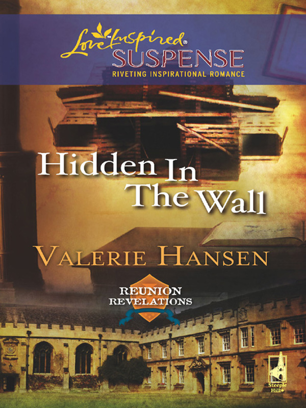 Обложка книги «Hidden in the Wall»
