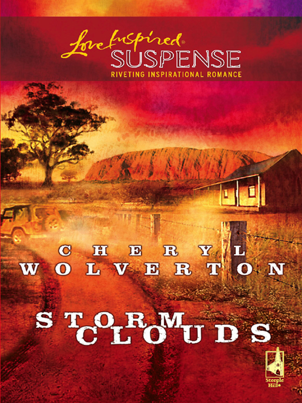 Обложка книги «Storm Clouds»