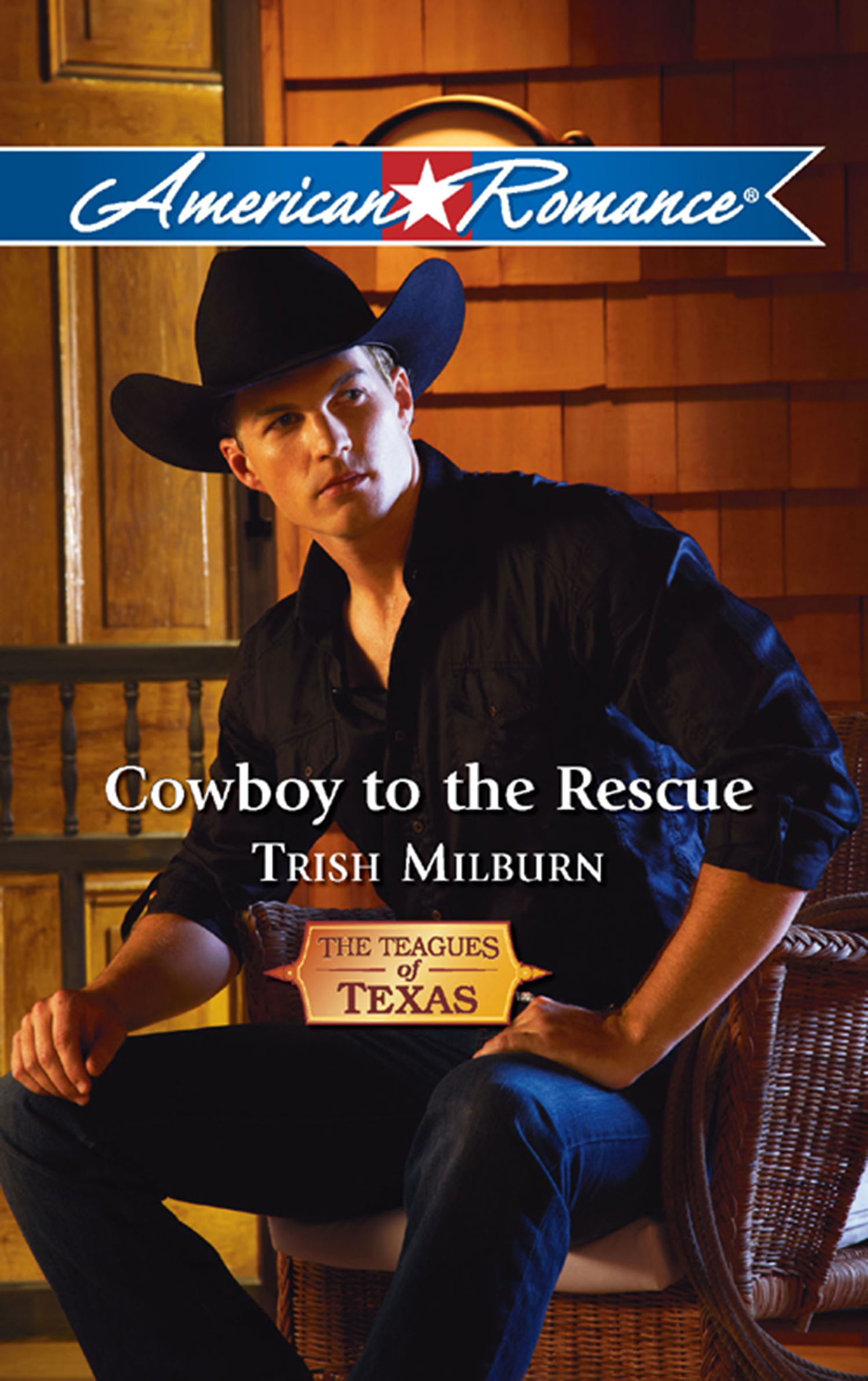 Обложка книги «Cowboy to the Rescue»