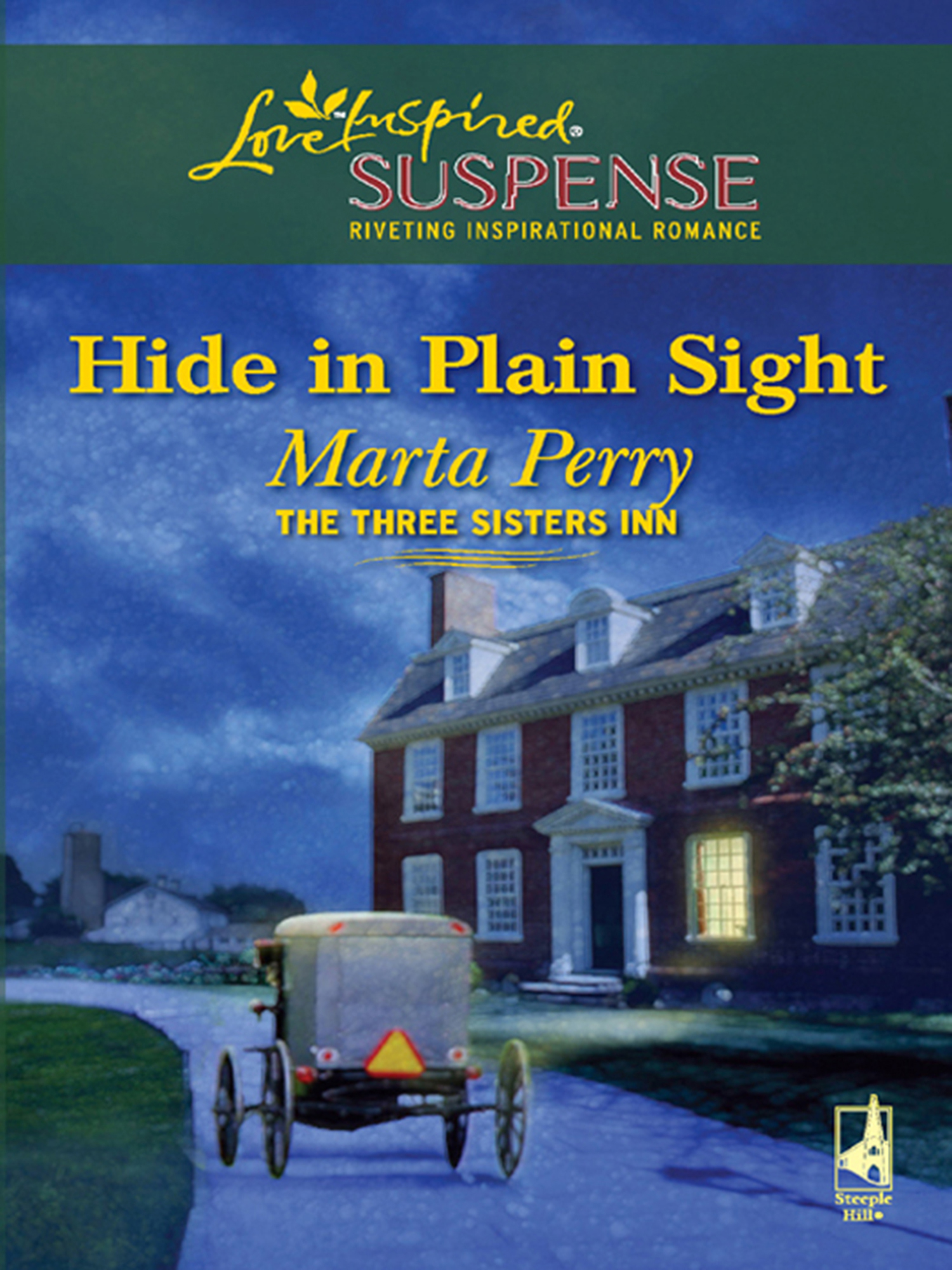 Обложка книги «Hide in Plain Sight»
