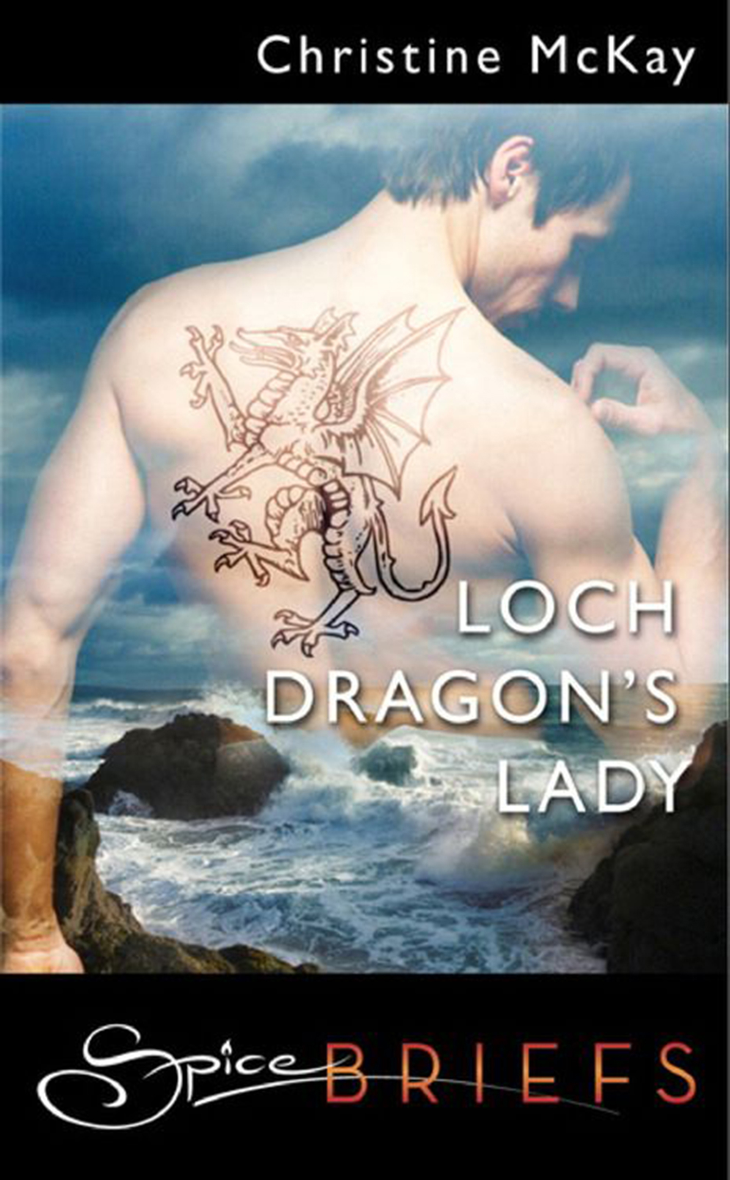 Обложка книги «Loch Dragon's Lady»