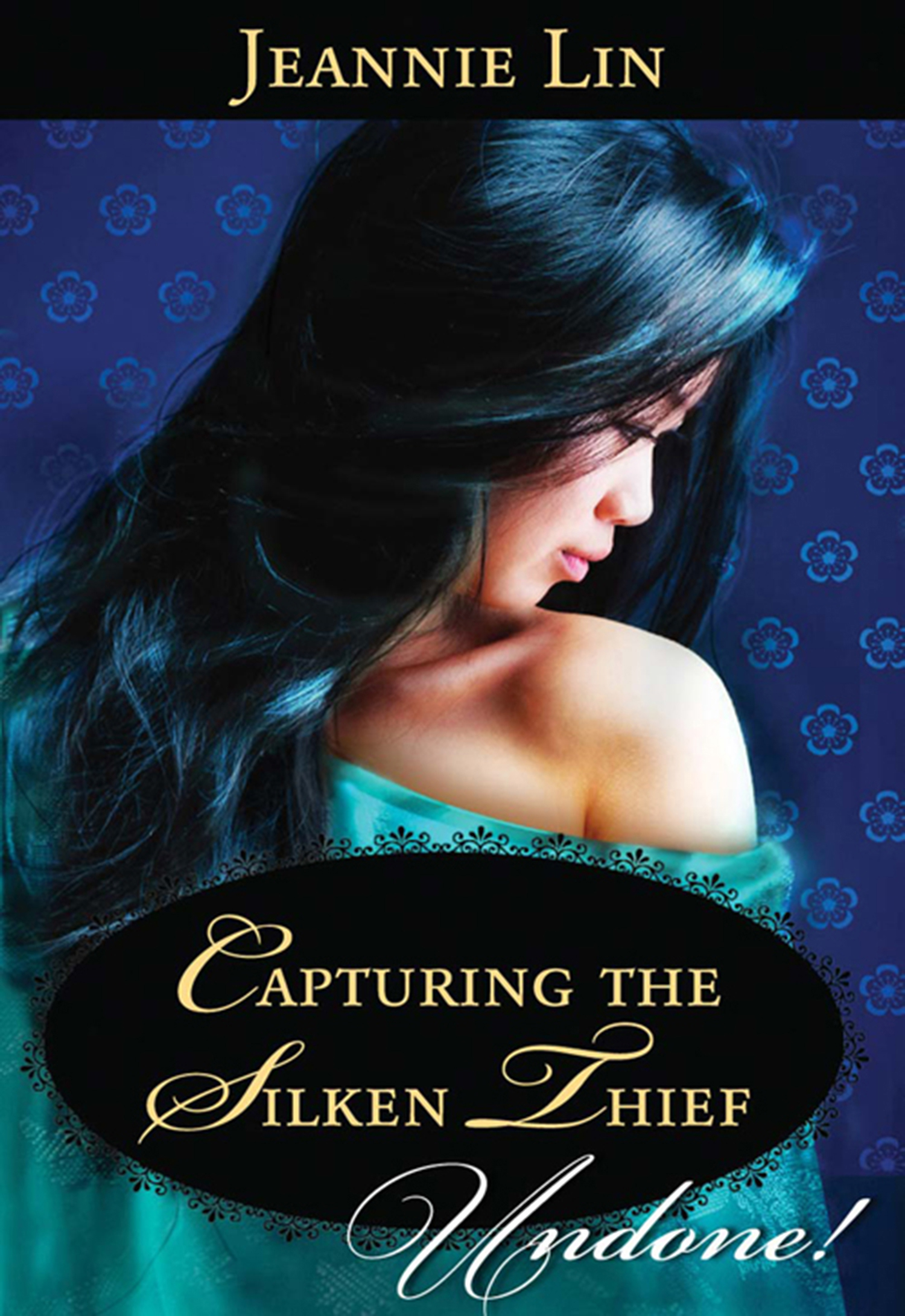 Обложка книги «Capturing the Silken Thief»