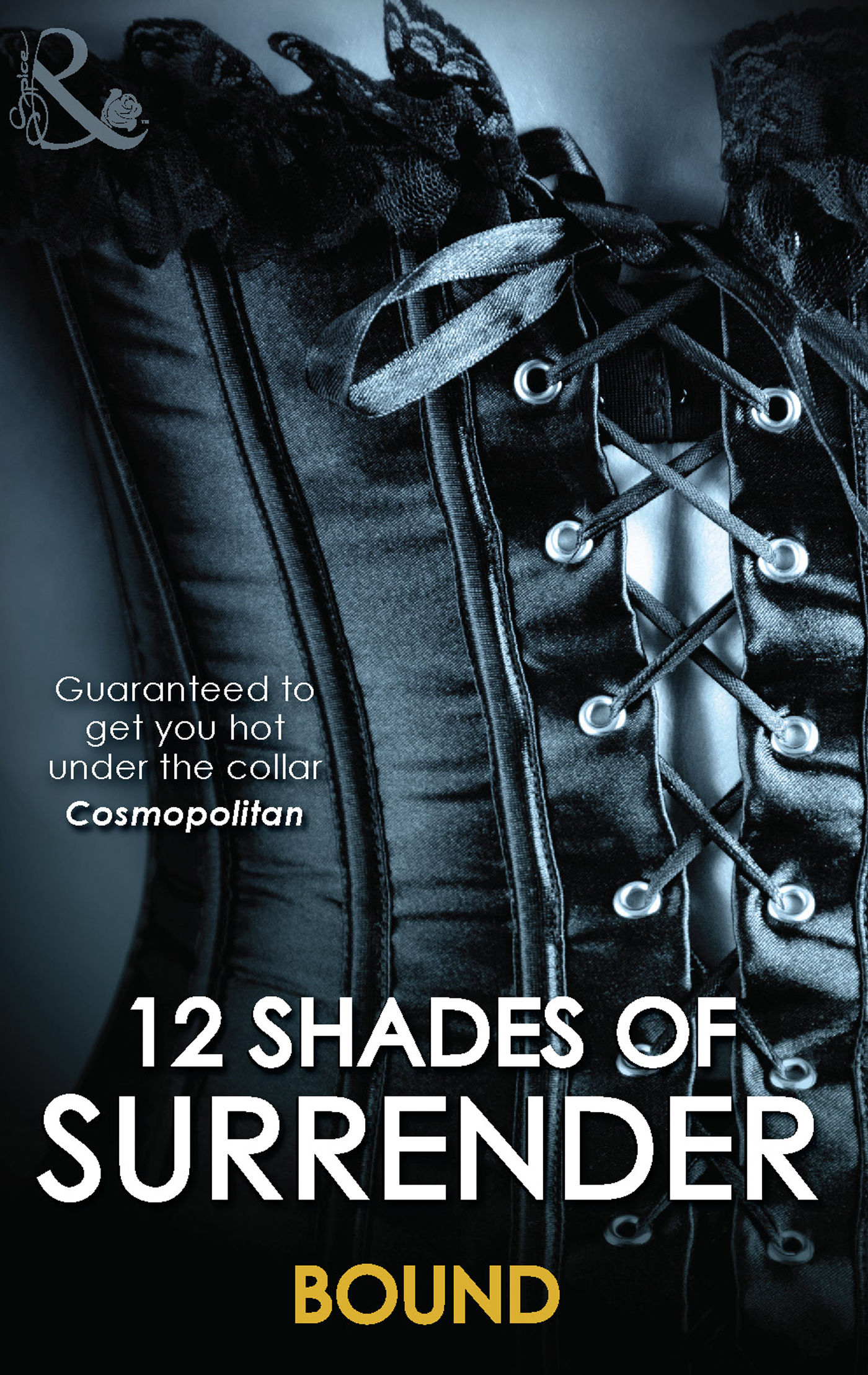 Обложка книги «12 Shades Of Surrender: Bound»