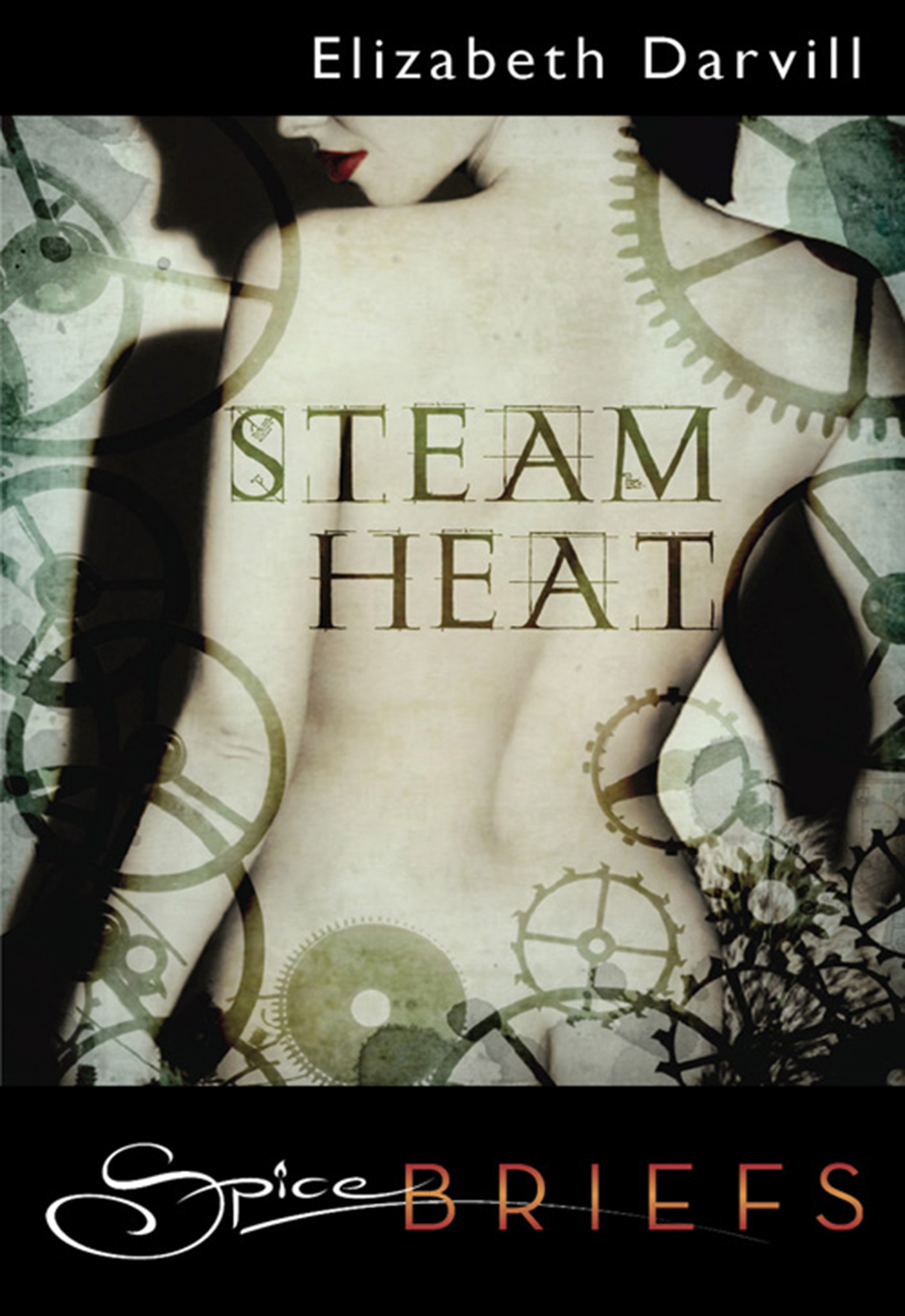 Обложка книги «Steam Heat»