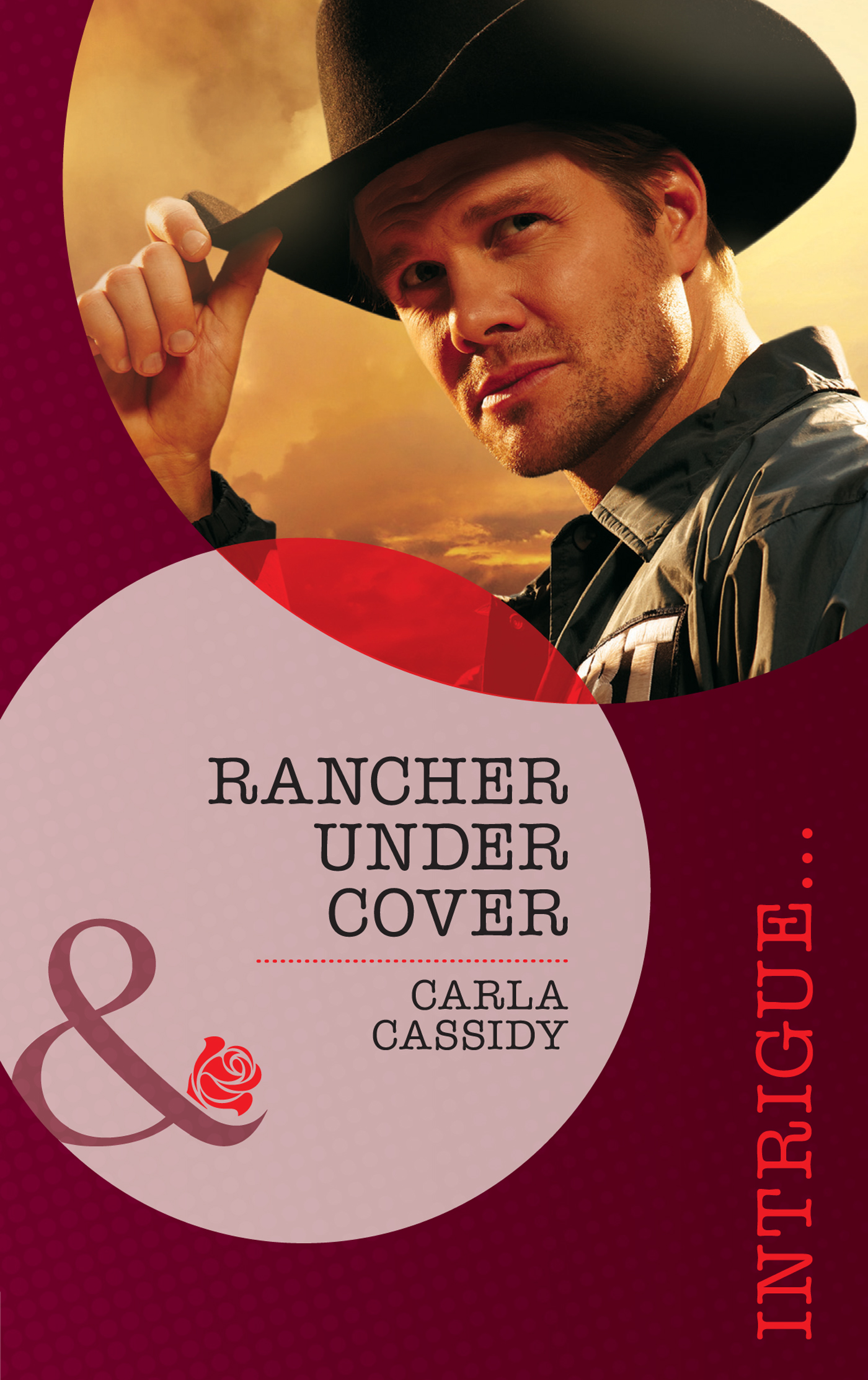Обложка книги «Rancher Under Cover»