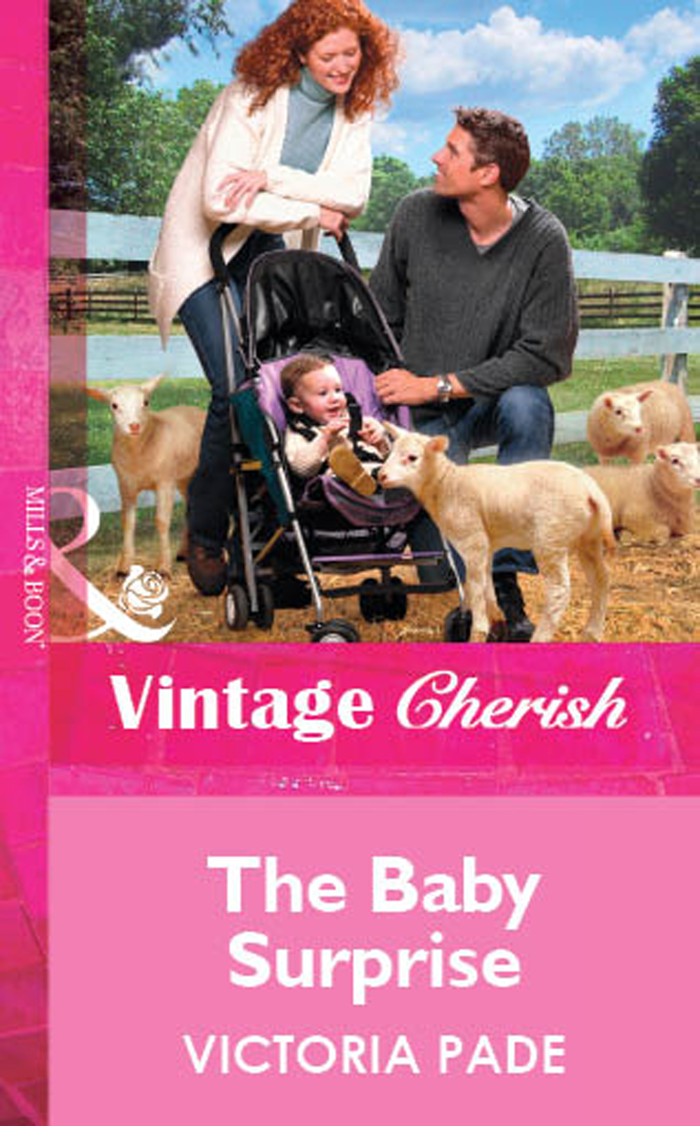 Обложка книги «The Baby Surprise»