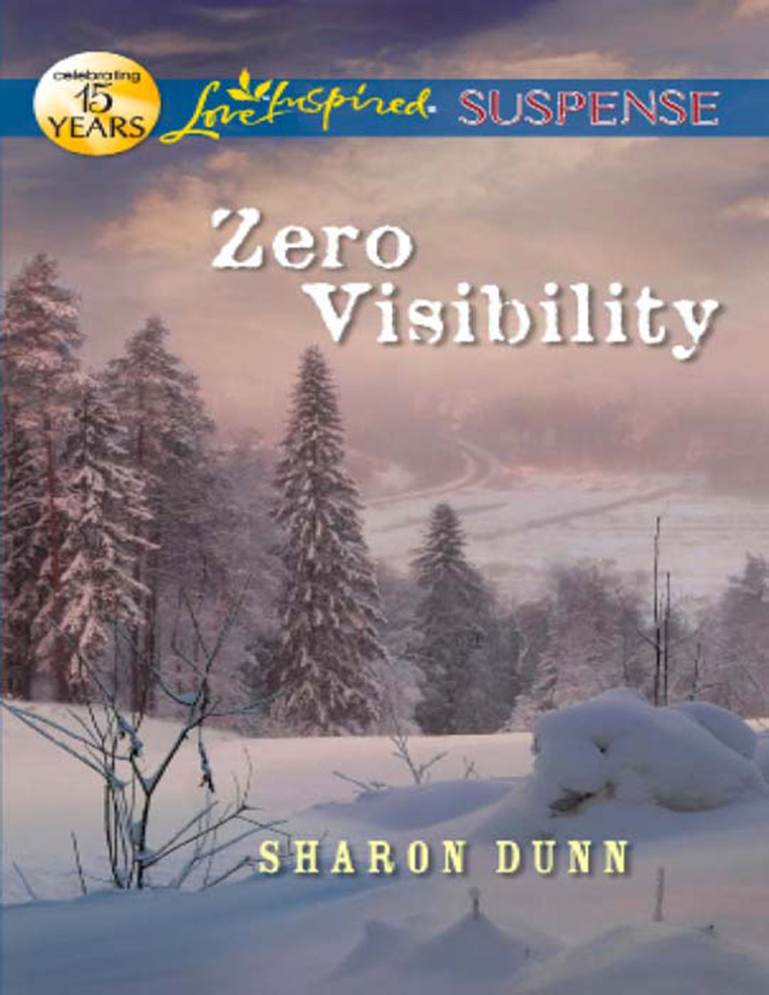 Обложка книги «Zero Visibility»