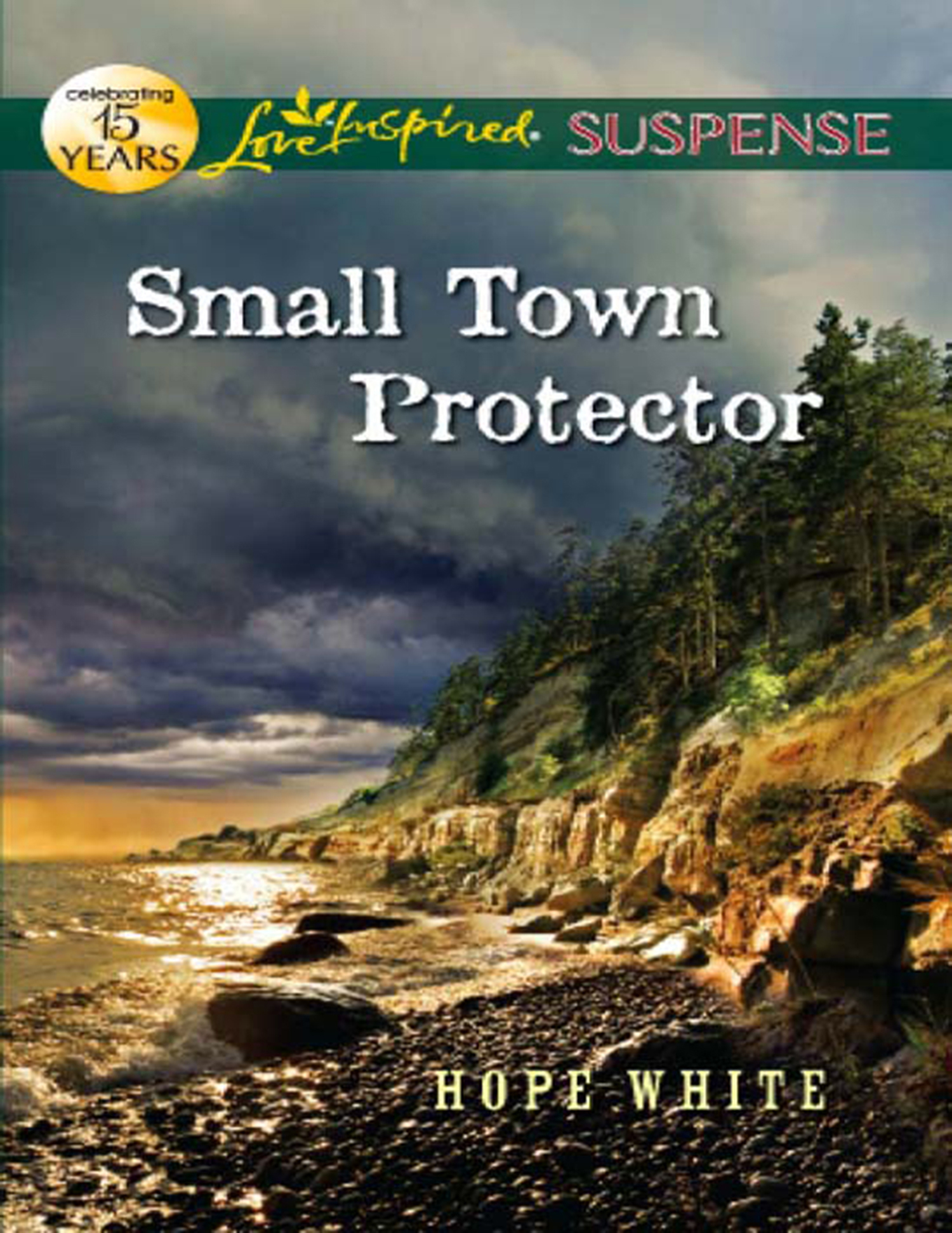 Обложка книги «Small Town Protector»