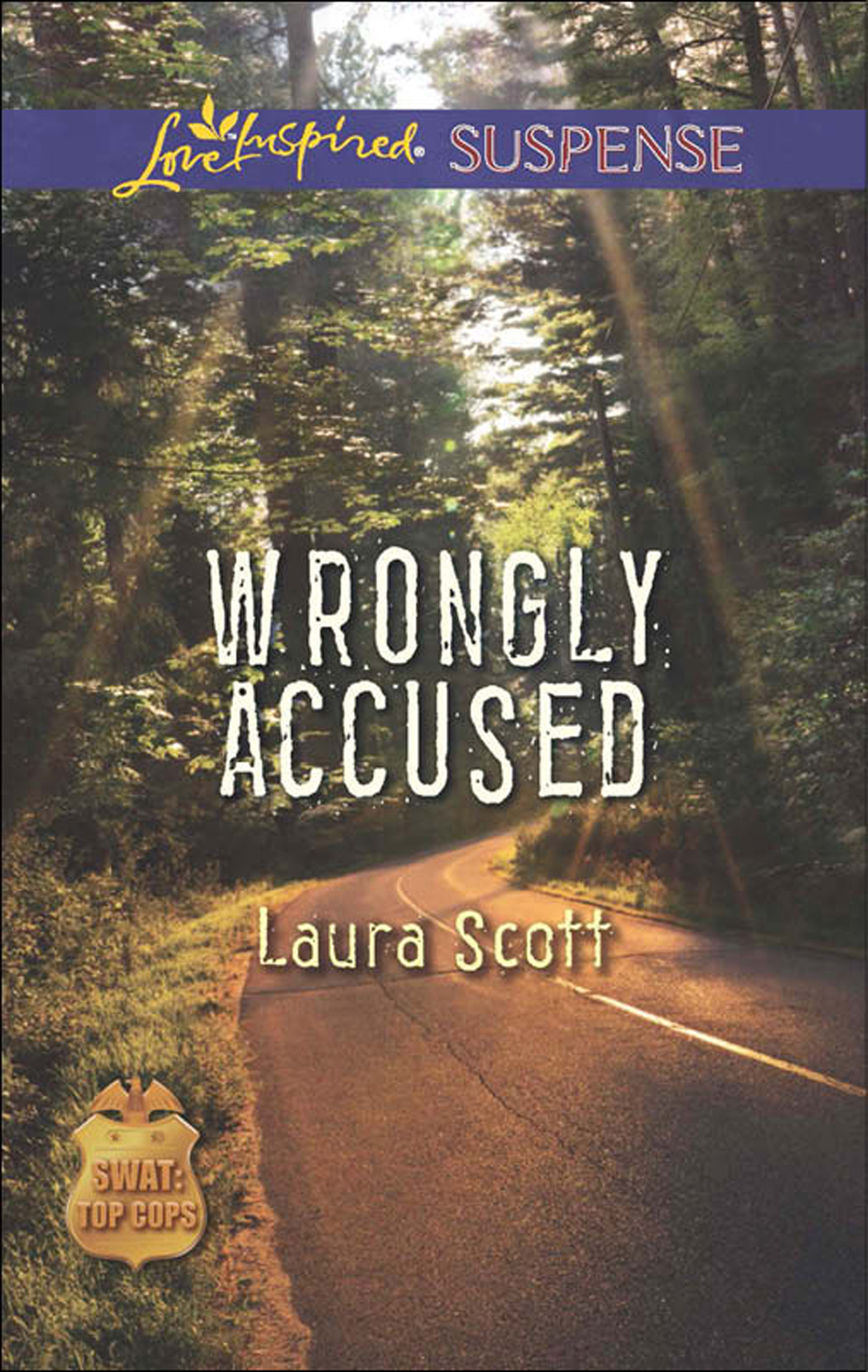 Обложка книги «Wrongly Accused»