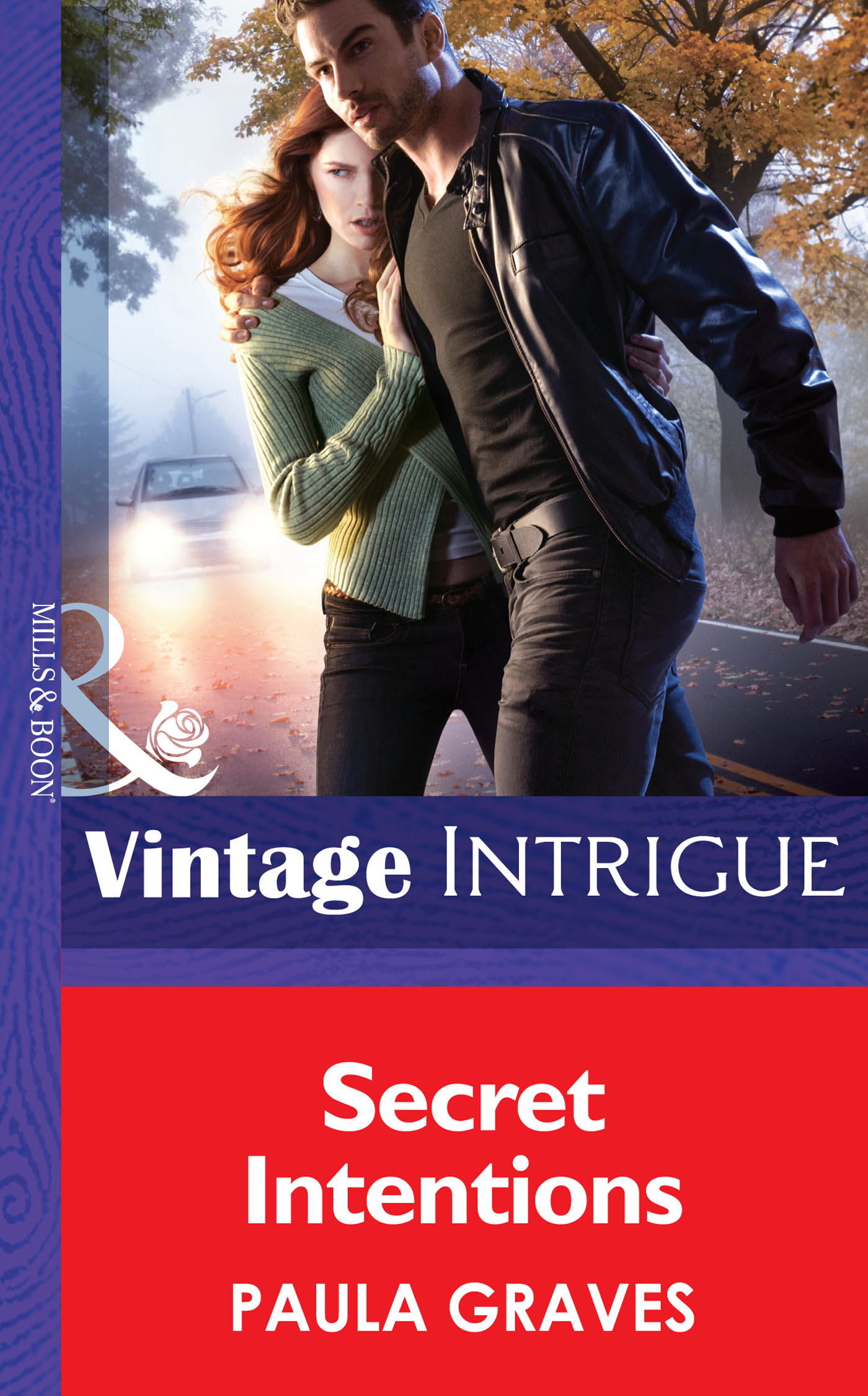 Обложка книги «Secret Intentions»