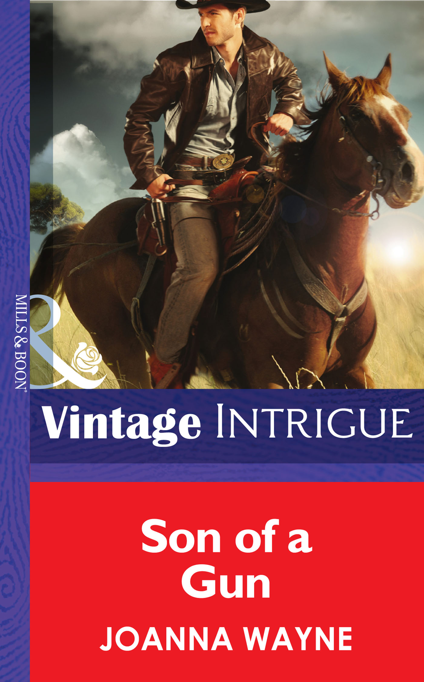 Обложка книги «Son of a Gun»