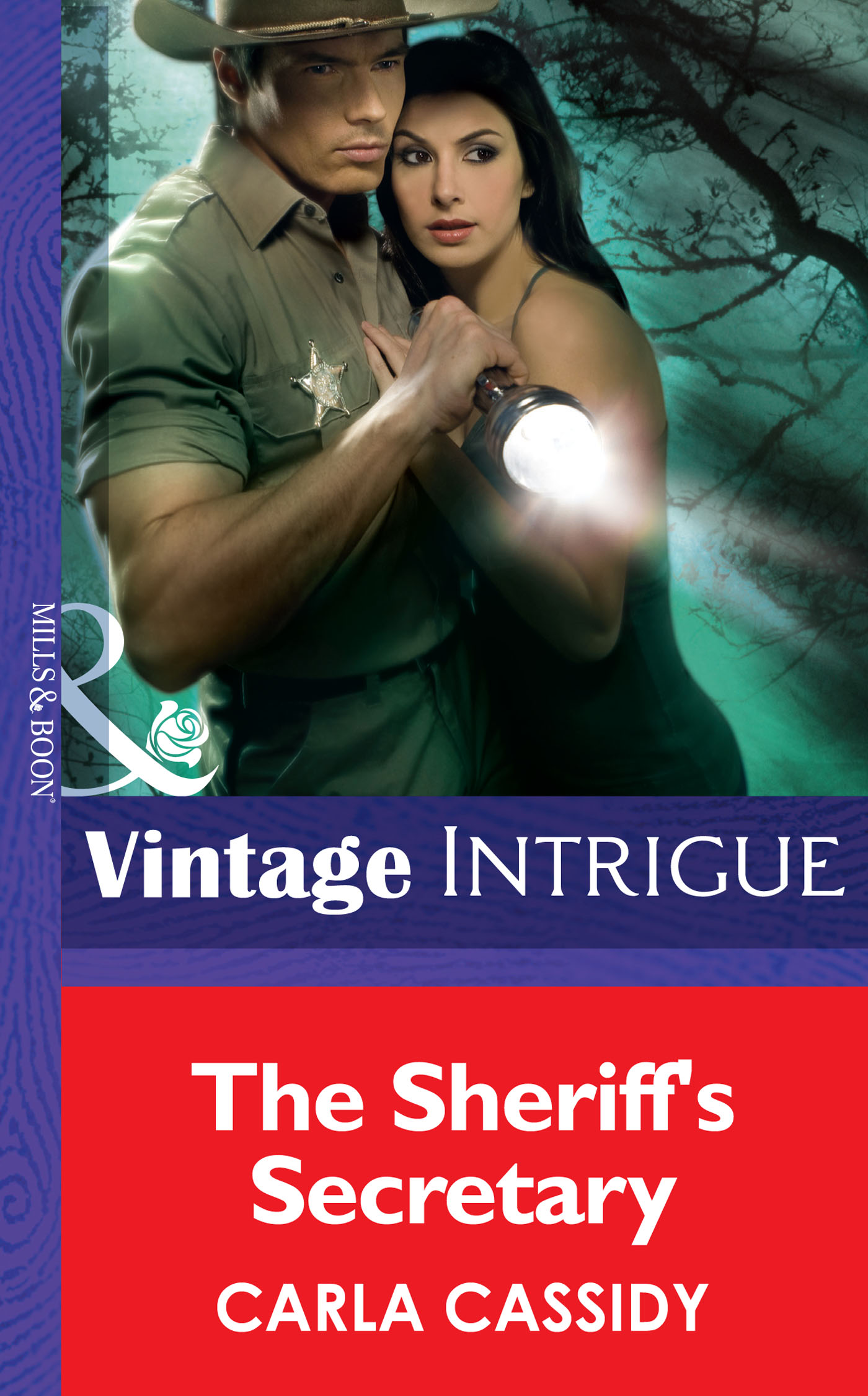 Обложка книги «The Sheriff's Secretary»