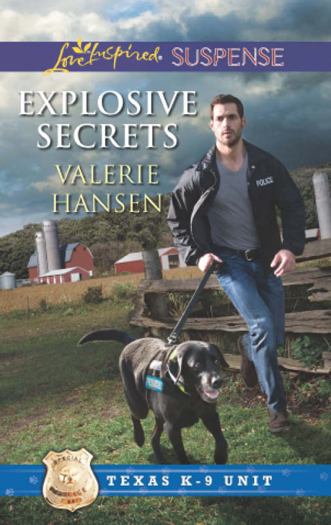 Обложка книги «Explosive Secrets»