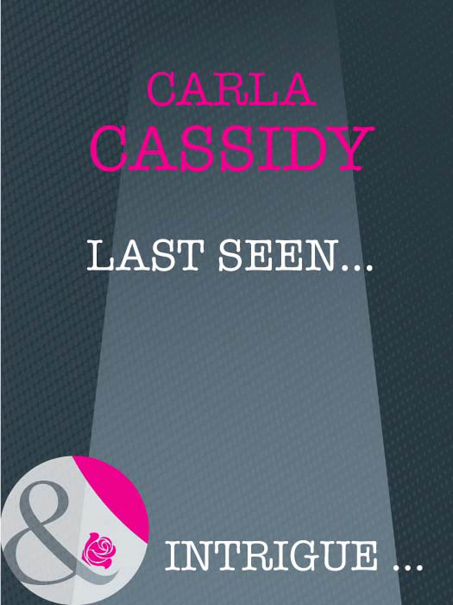 Обложка книги «Last Seen...»
