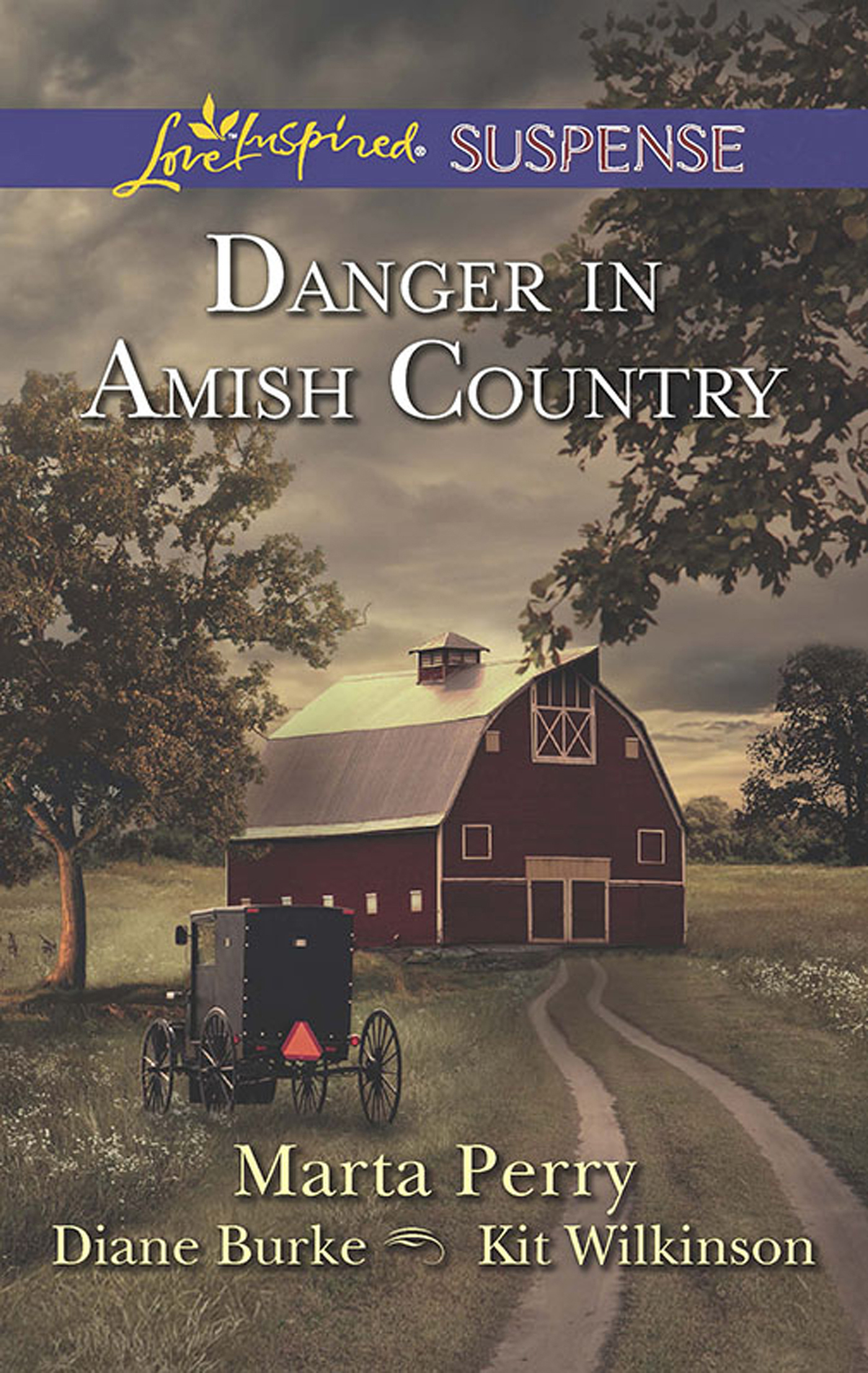 Обложка книги «Danger In Amish Country»