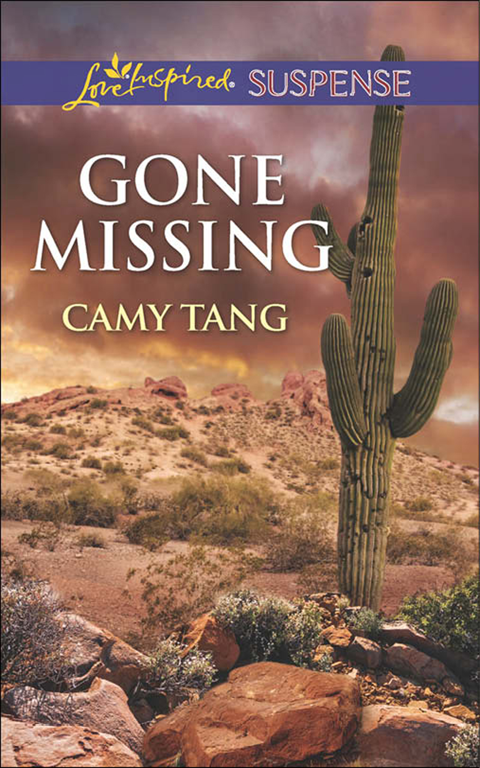 Обложка книги «Gone Missing»