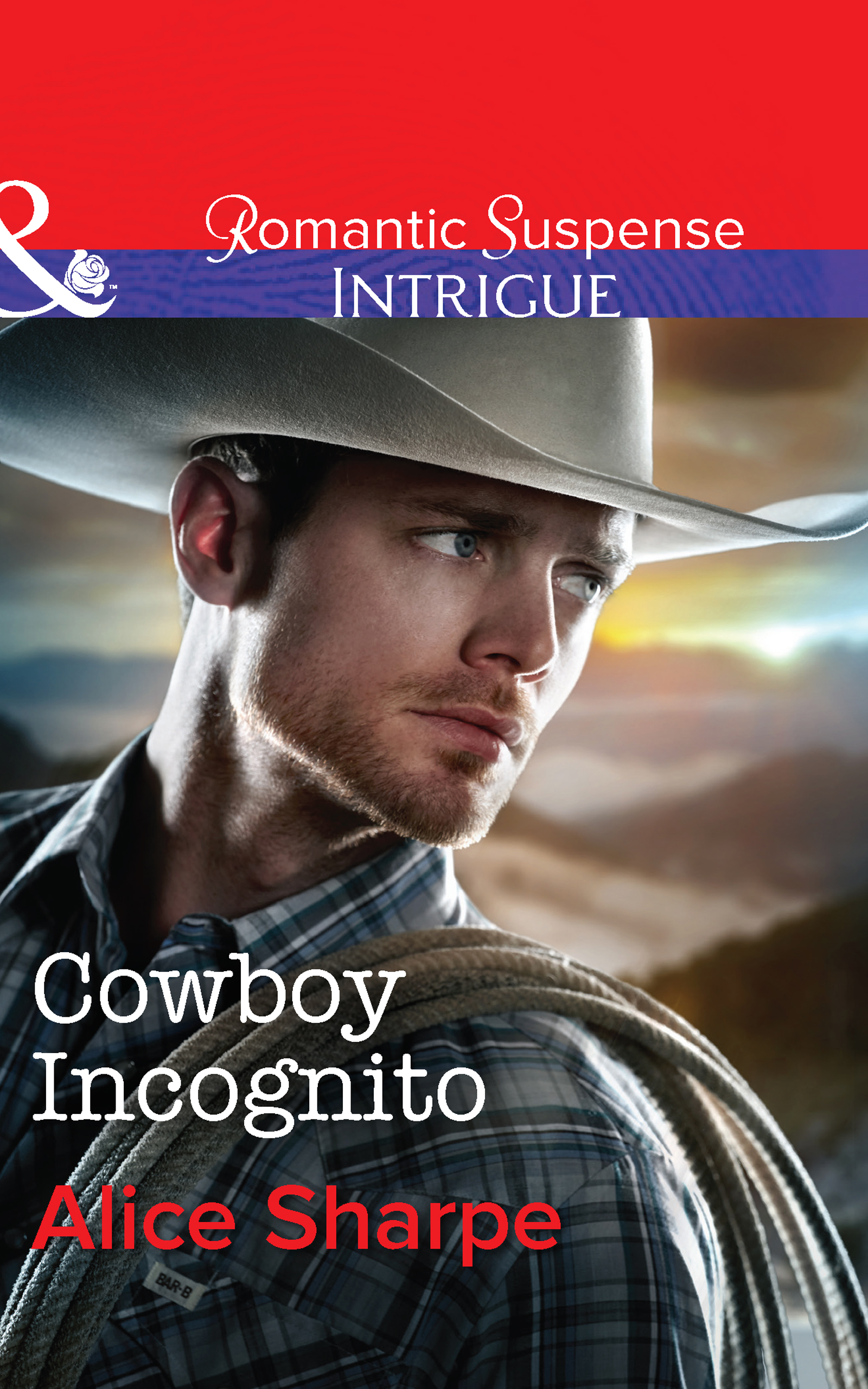 Обложка книги «Cowboy Incognito»