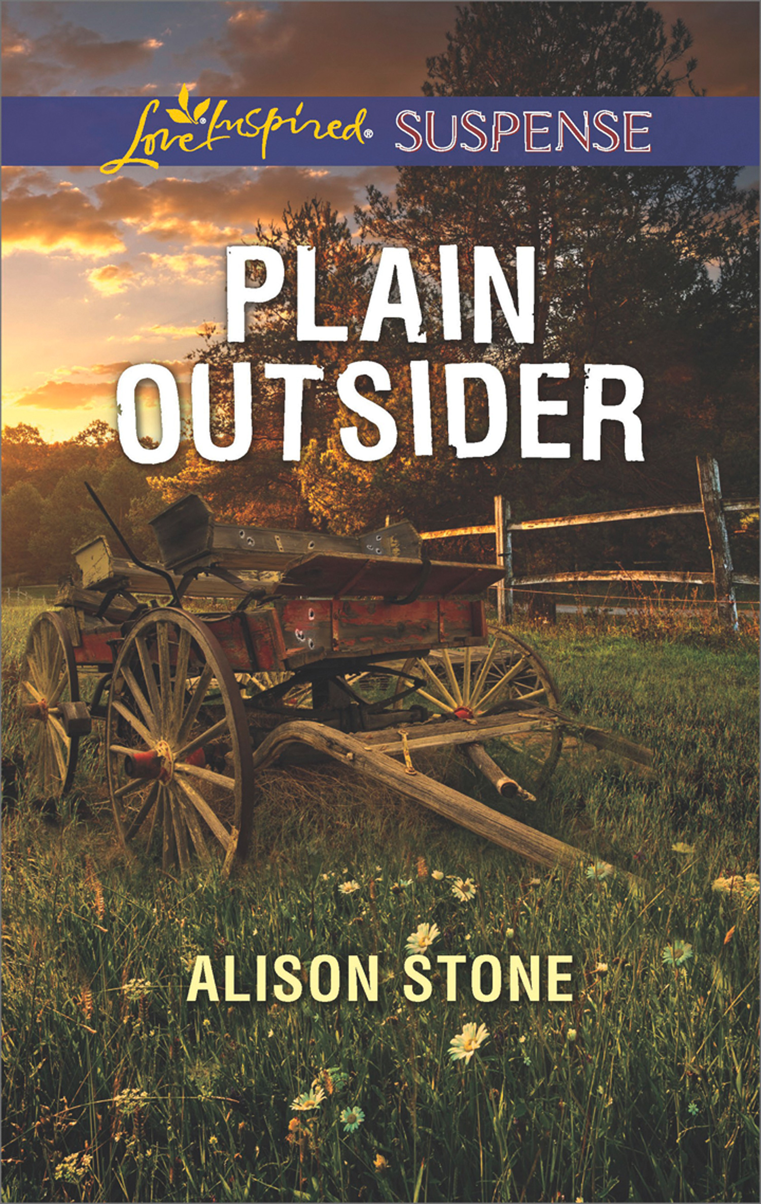Обложка книги «Plain Outsider»