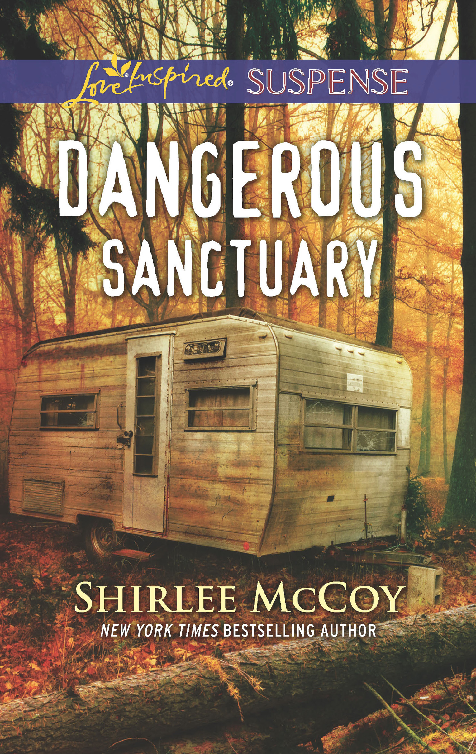 Обложка книги «Dangerous Sanctuary»