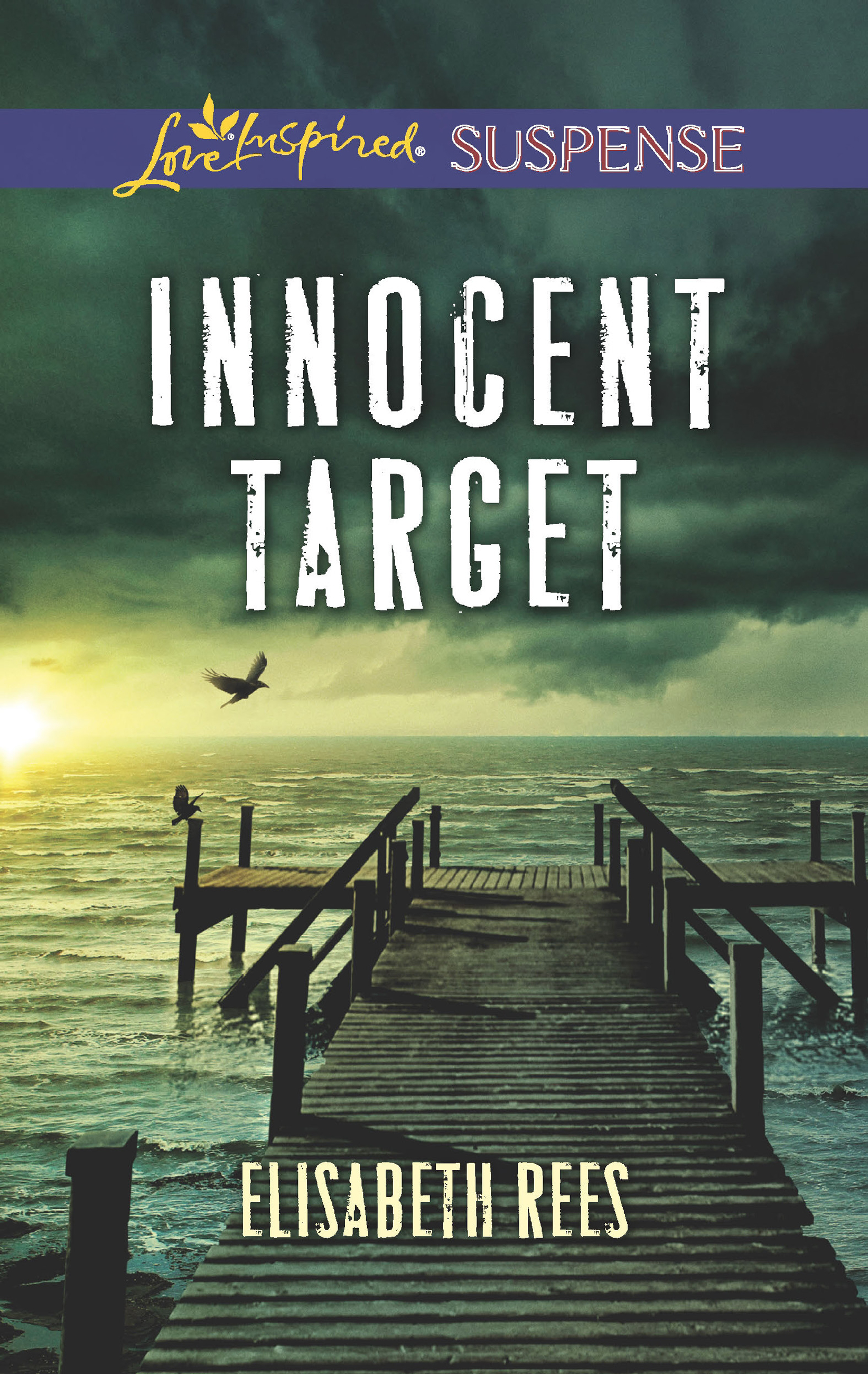 Обложка книги «Innocent Target»