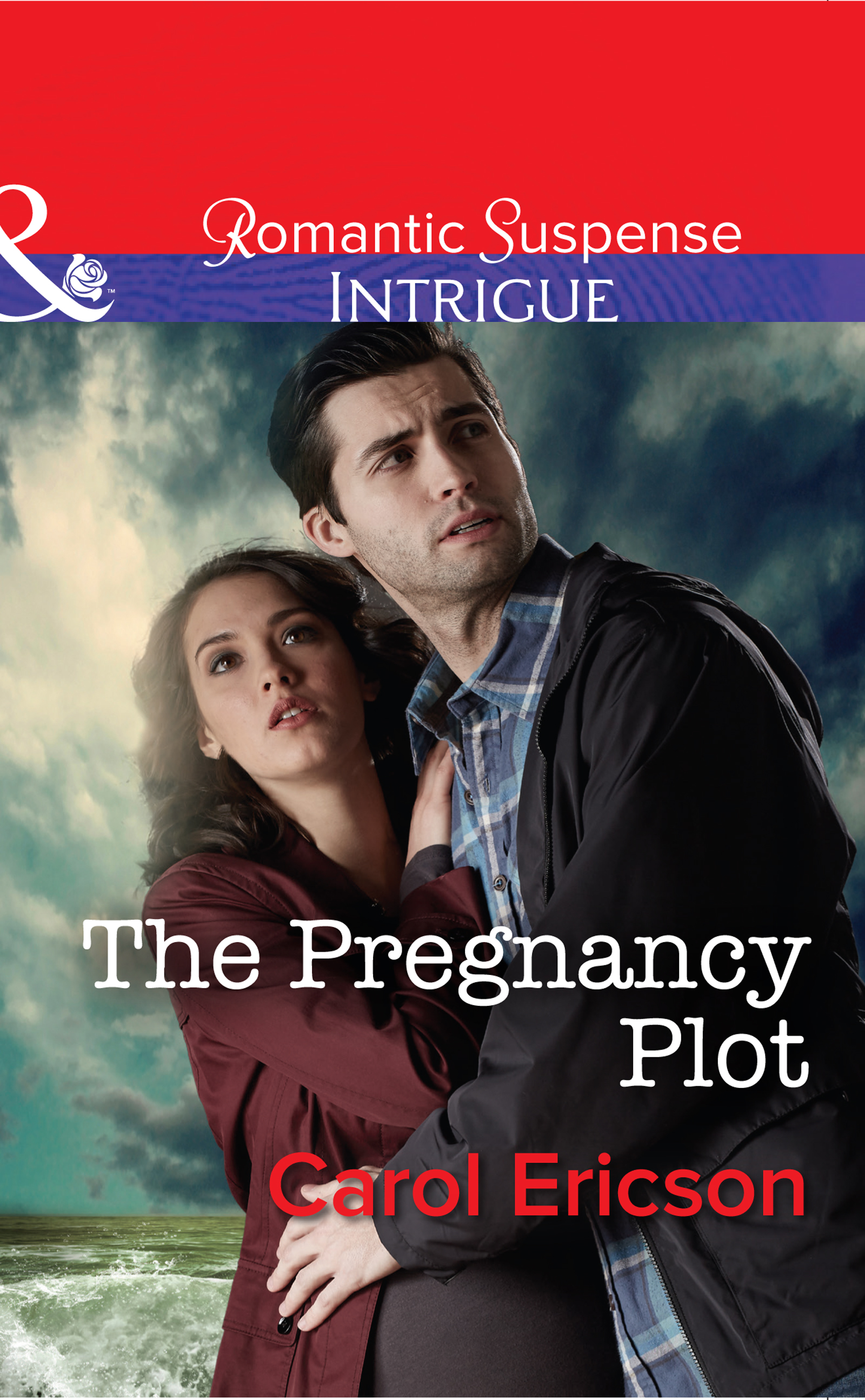 Обложка книги «The Pregnancy Plot»