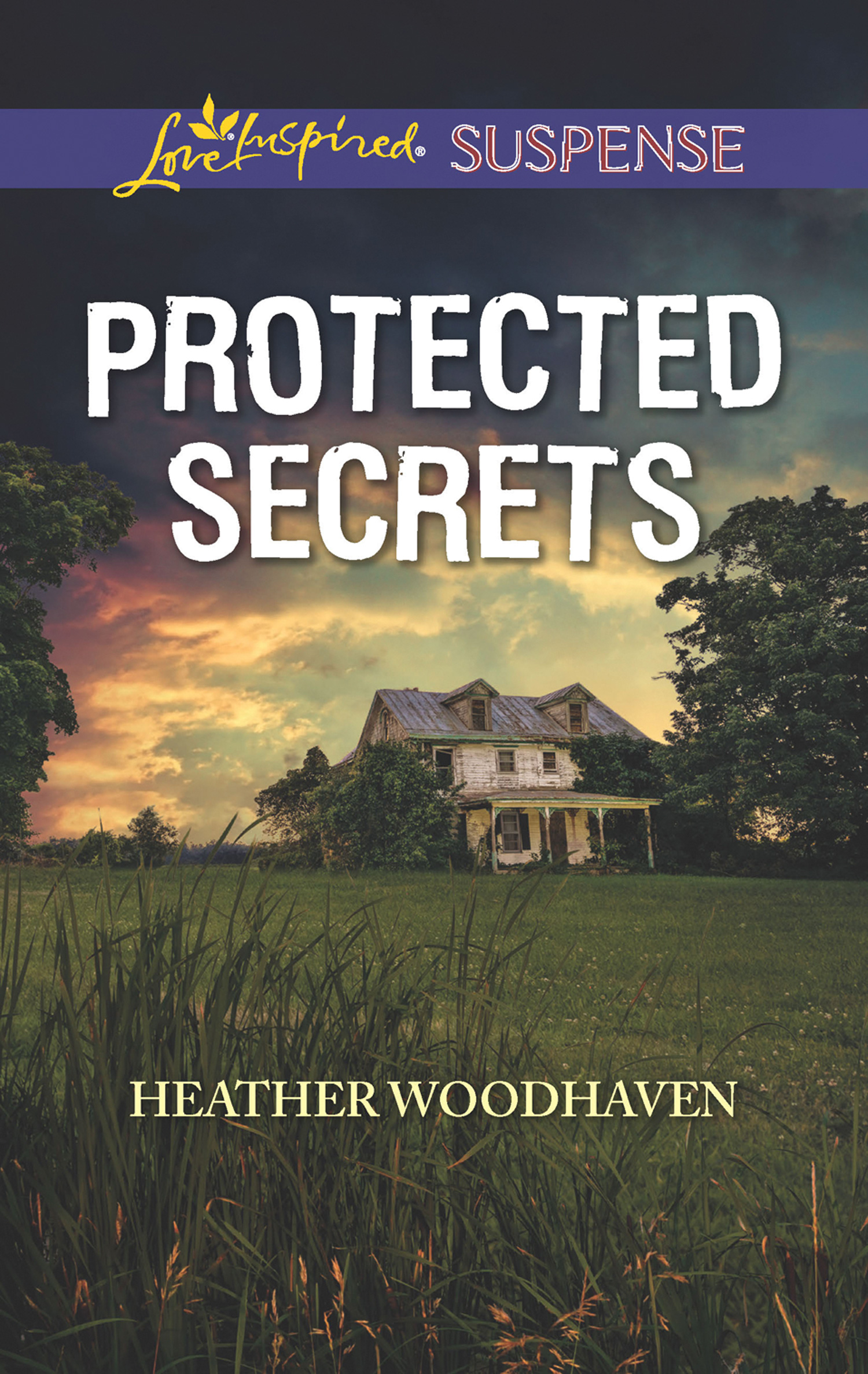 Обложка книги «Protected Secrets»