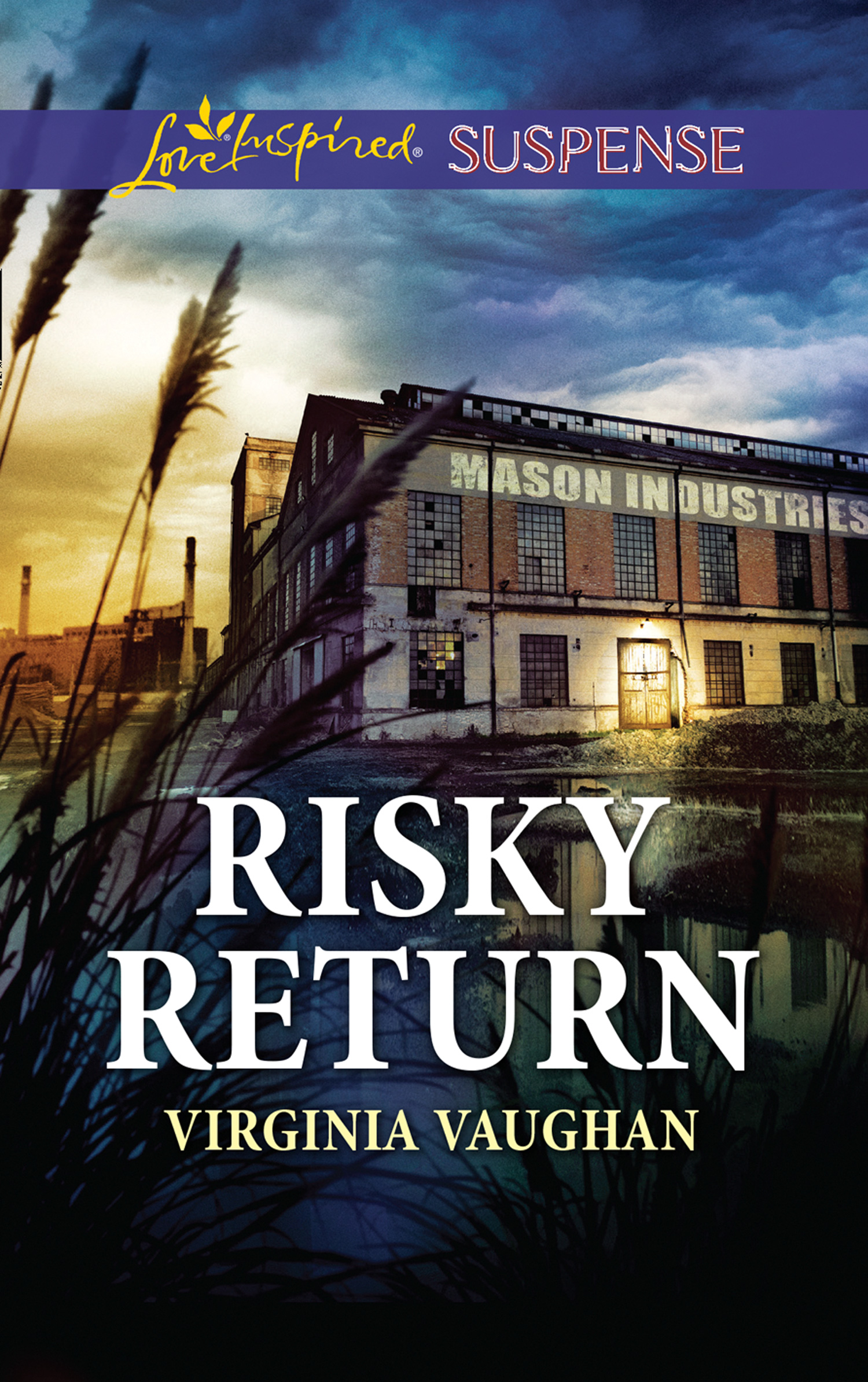 Обложка книги «Risky Return»