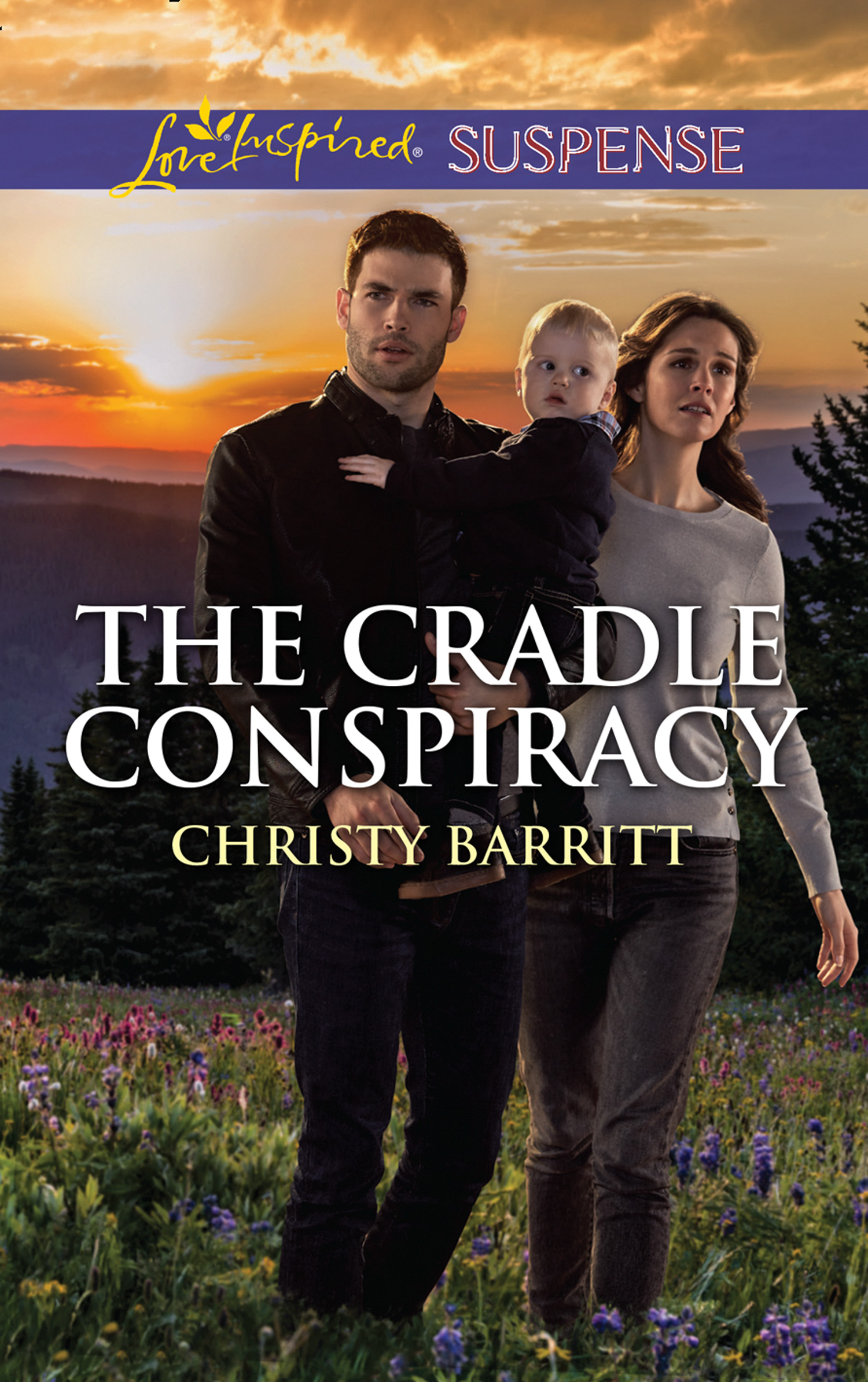 Обложка книги «The Cradle Conspiracy»