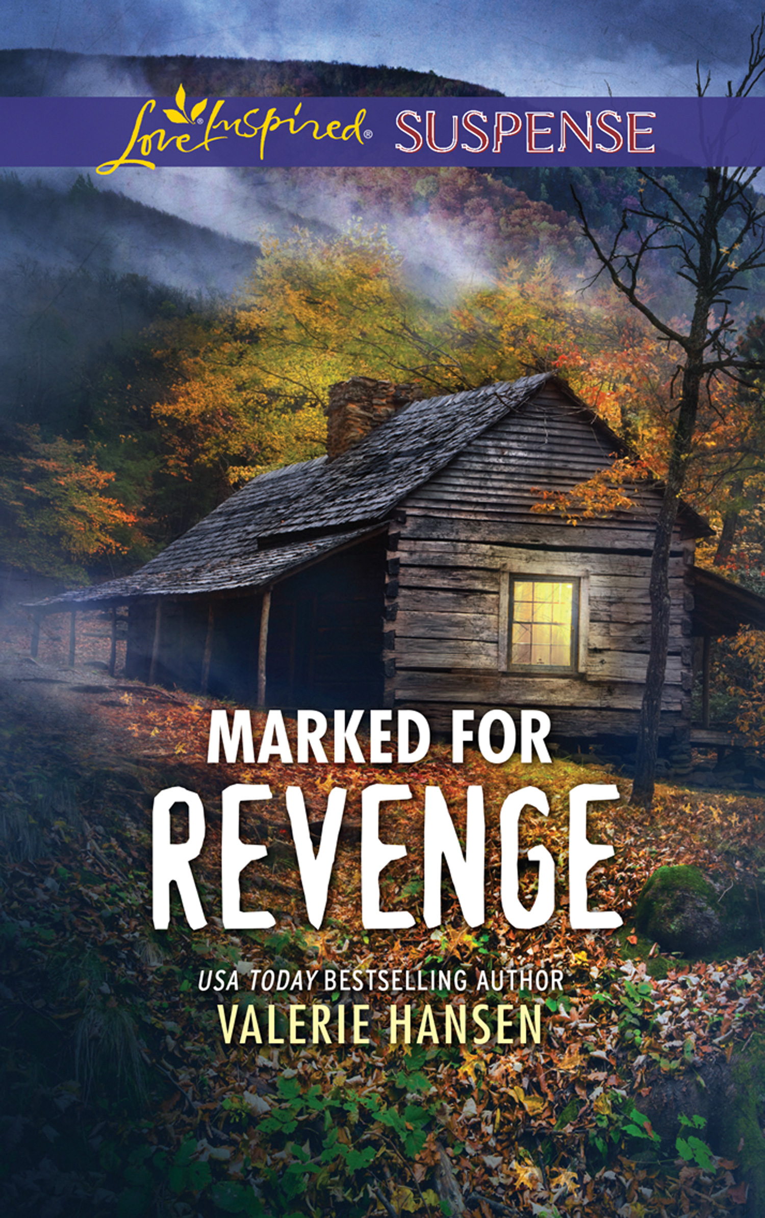 Обложка книги «Marked For Revenge»
