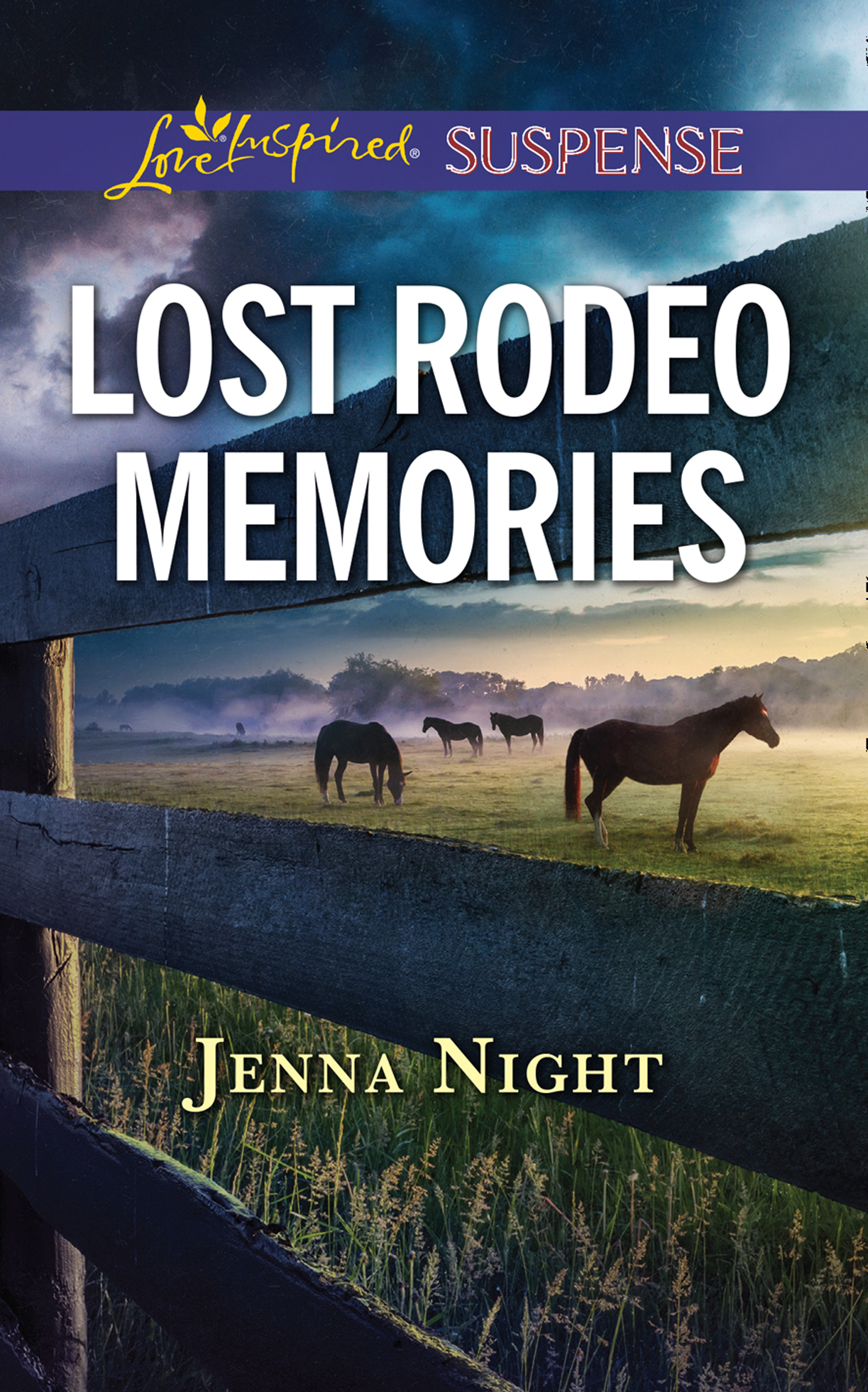 Обложка книги «Lost Rodeo Memories»