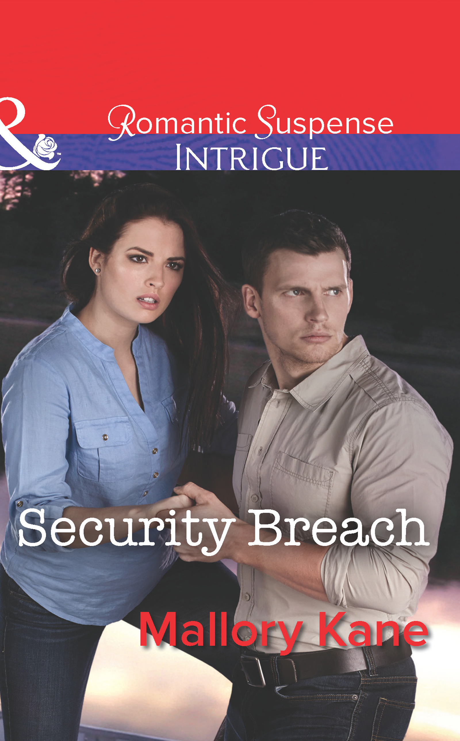 Обложка книги «Security Breach»