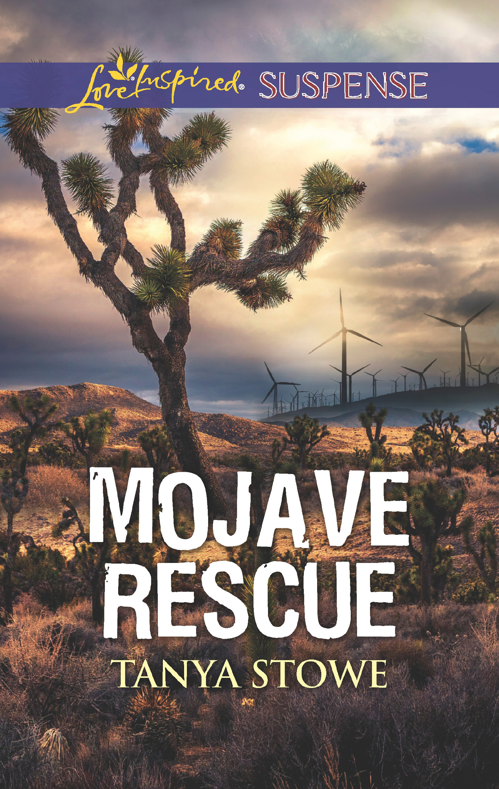 Обложка книги «Mojave Rescue»