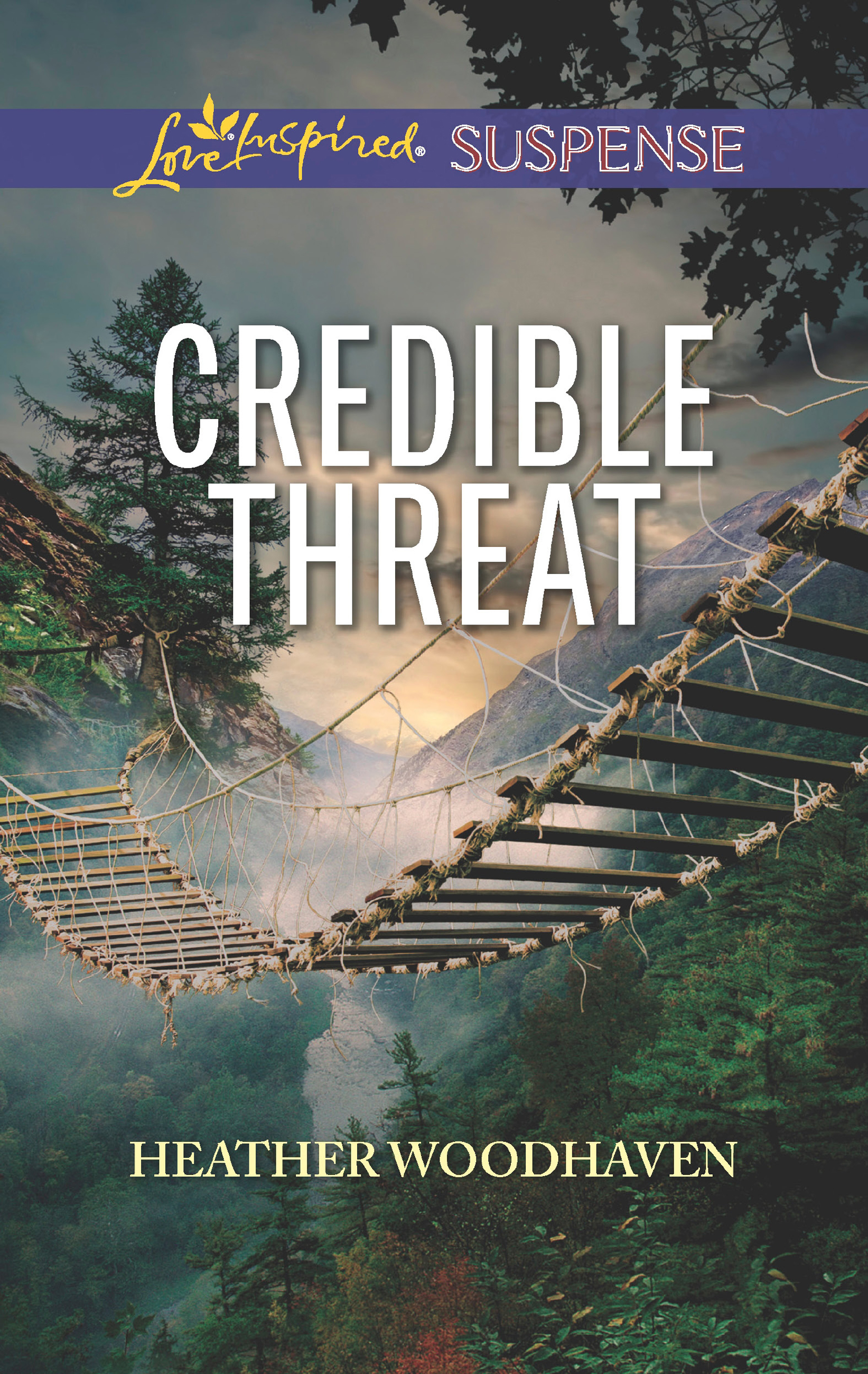 Обложка книги «Credible Threat»