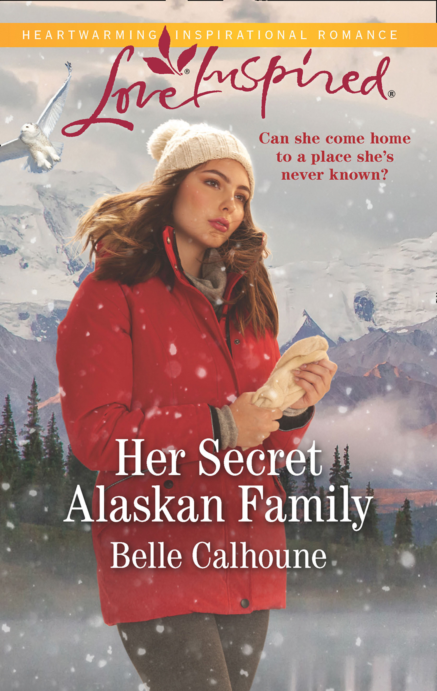 Обложка книги «Her Secret Alaskan Family»