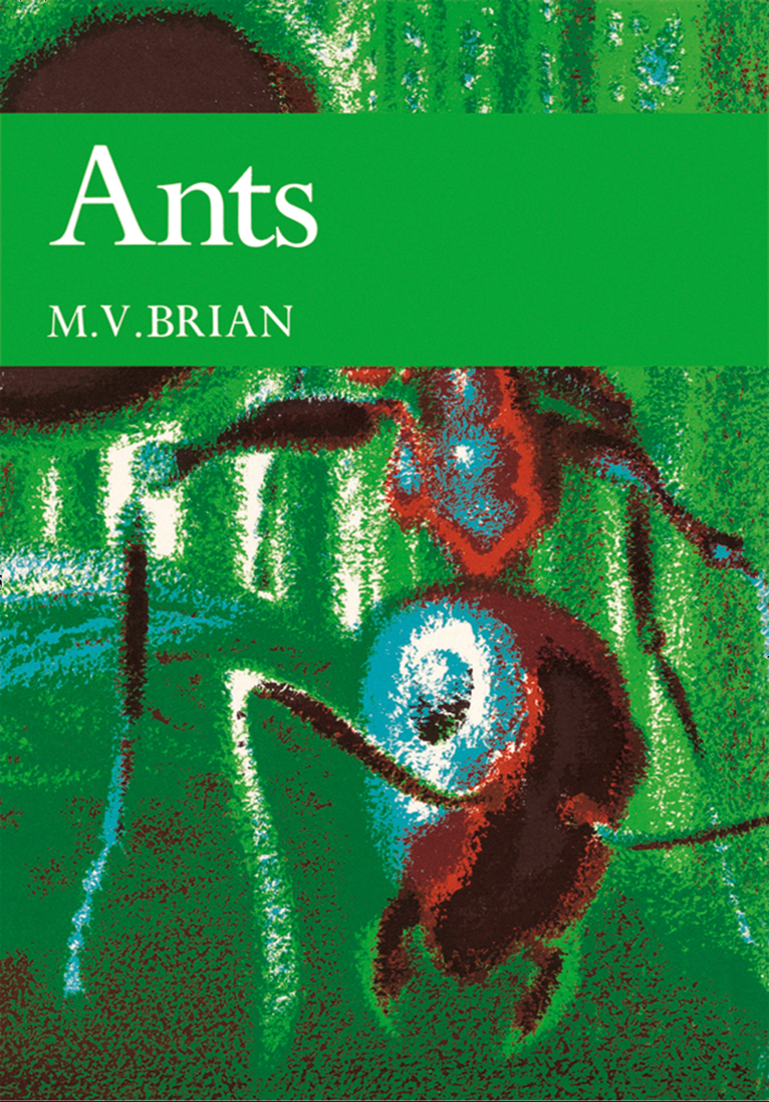 Обложка книги «Ants»