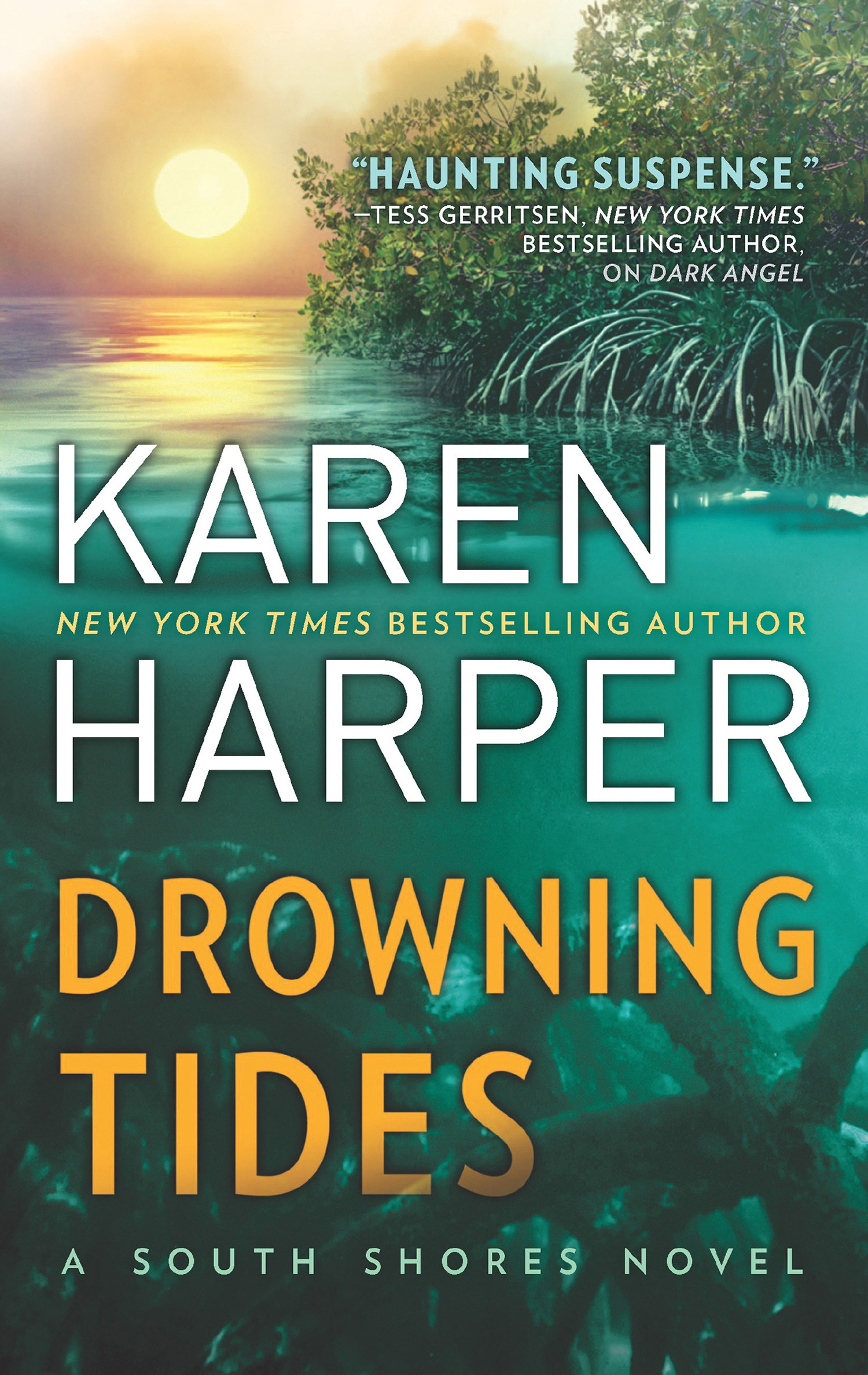 Обложка книги «Drowning Tides»
