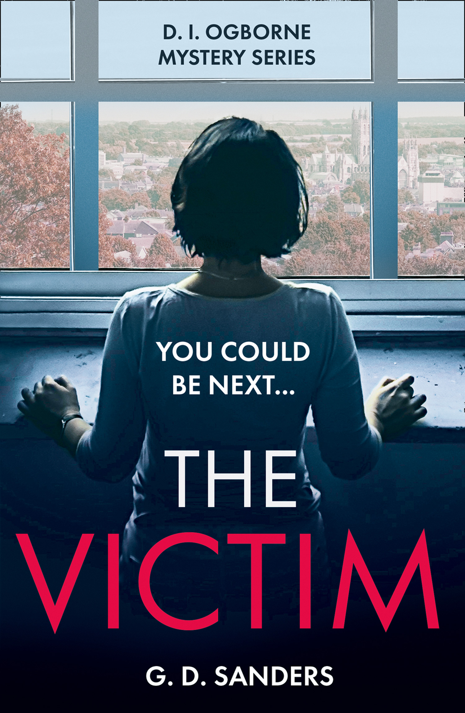 Обложка книги «The Victim»
