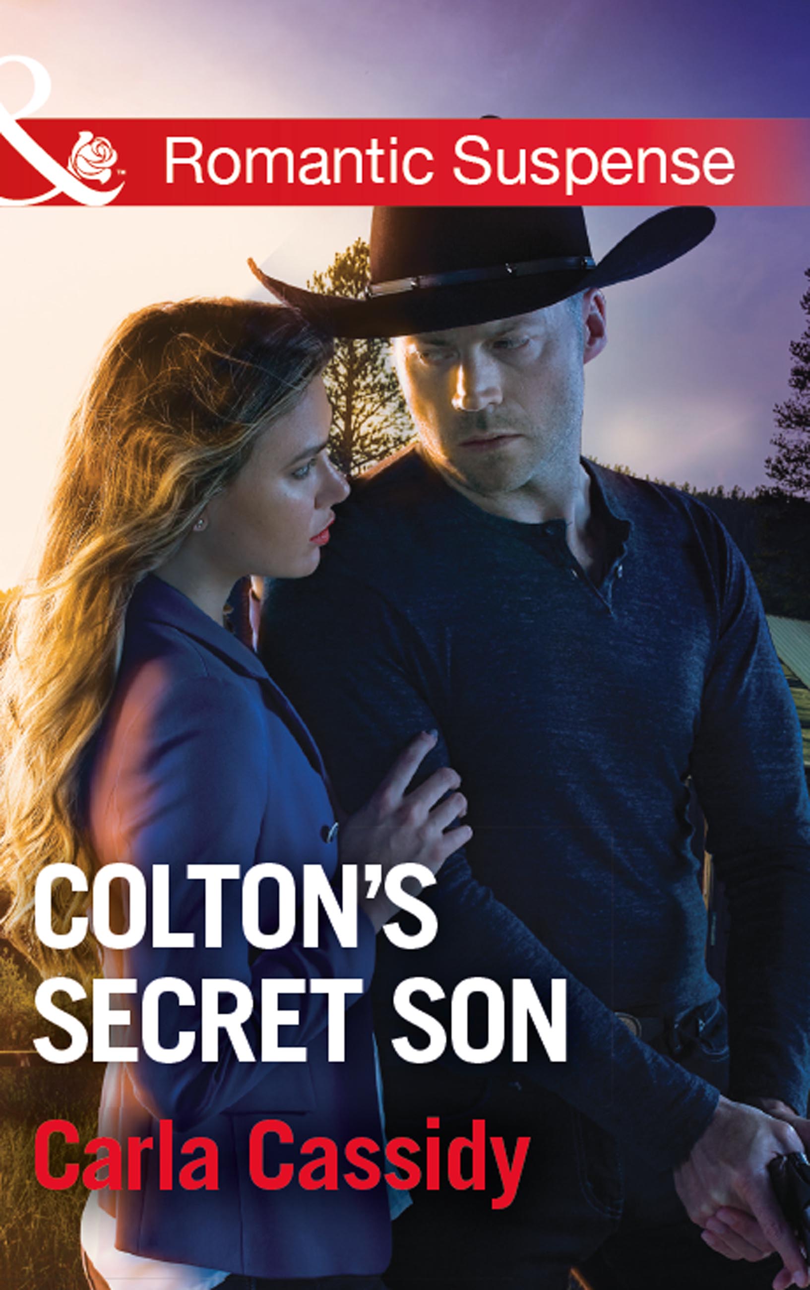 Обложка книги «Colton's Secret Son»
