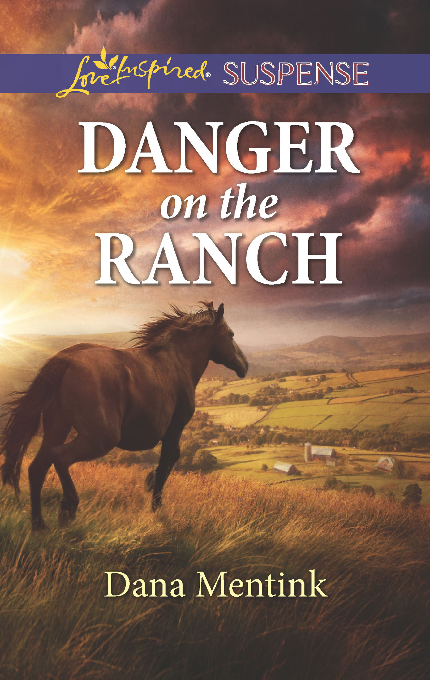 Обложка книги «Danger On The Ranch»