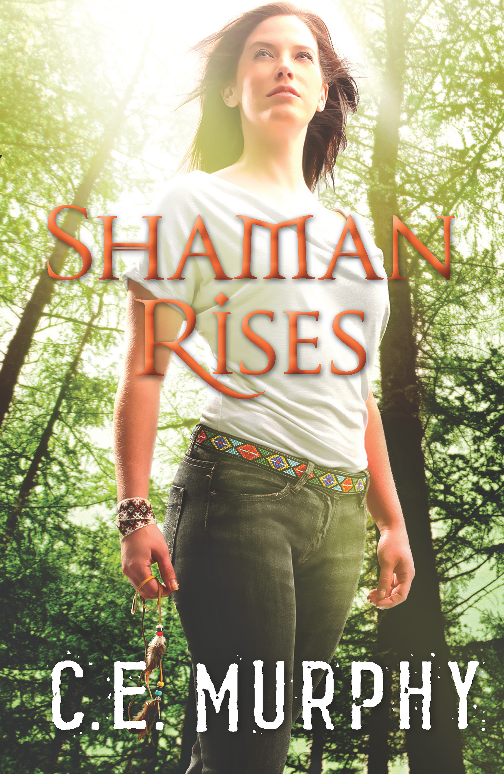 Обложка книги «Shaman Rises»