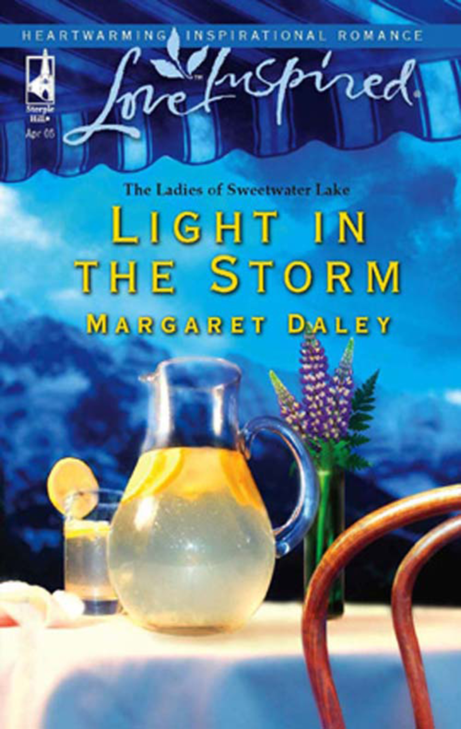 Обложка книги «Light in the Storm»